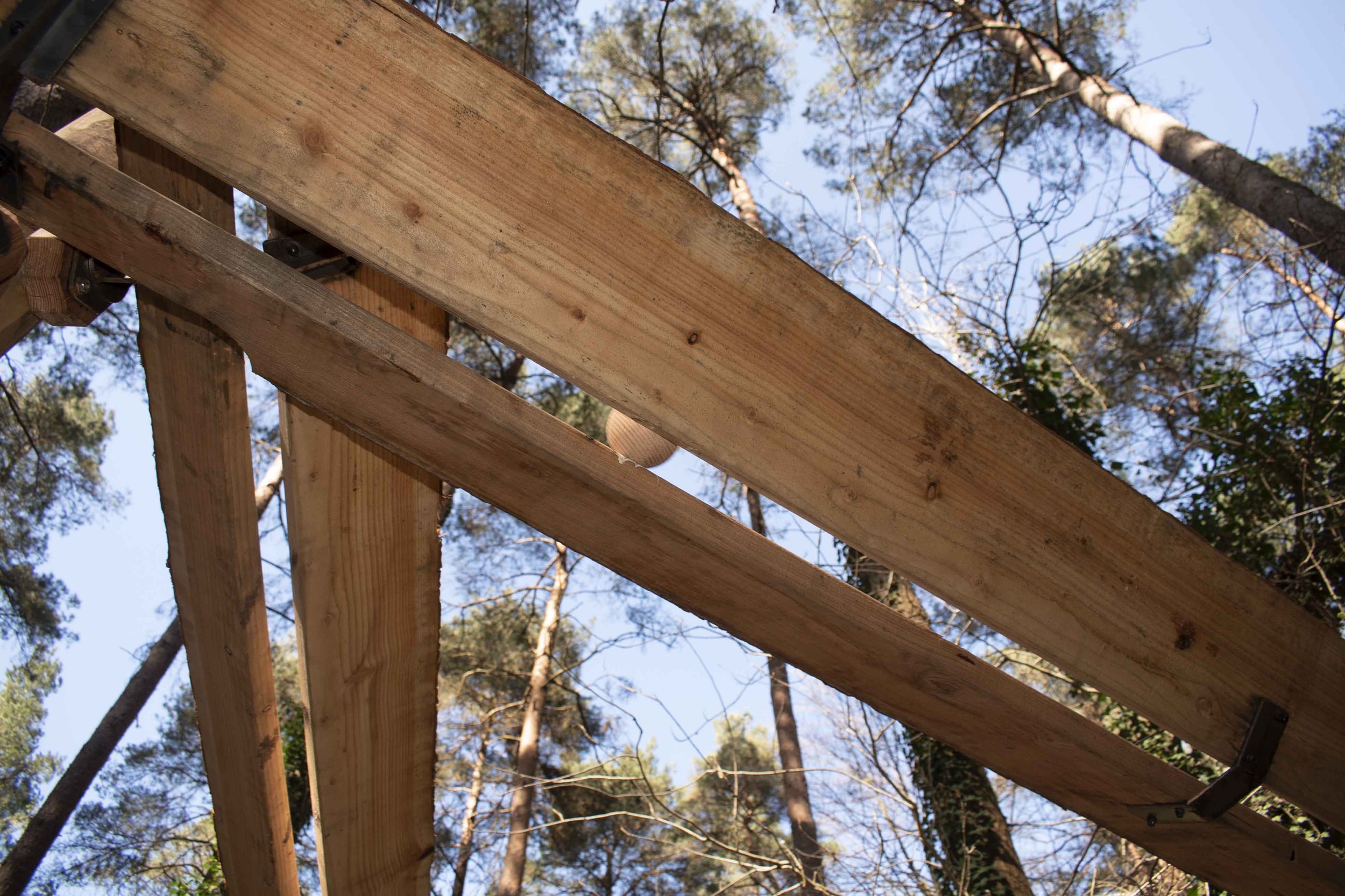 Close-up of wooden beams in a construction project with trees and blue sky in the background.