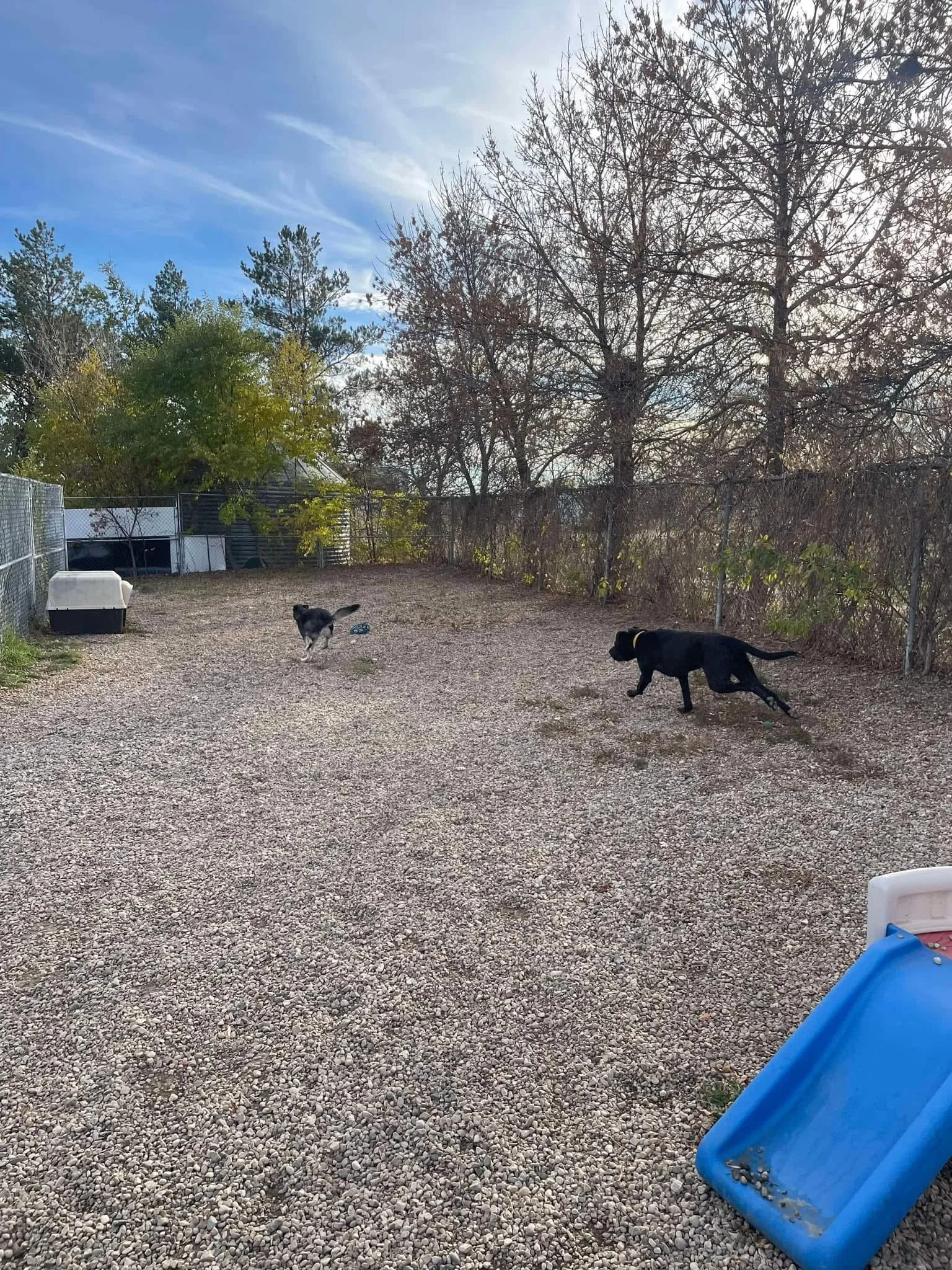 Acreage Photo_.jpg
