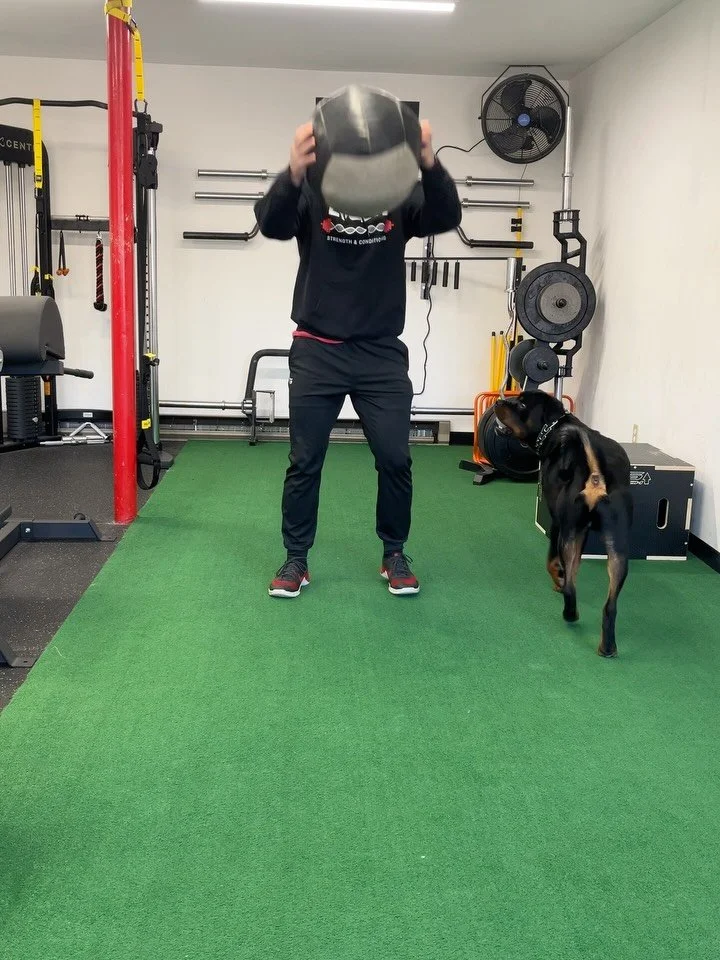 🧬 Repetition Upper Body 🧬 
High volume, while still getting heavy presses in. Simple and effective upper body day. No gimmicky, frill exercises. Just 💩 that works.

Strain the body hard, then get out and recover. Do this forever and you&rsquo;ll h