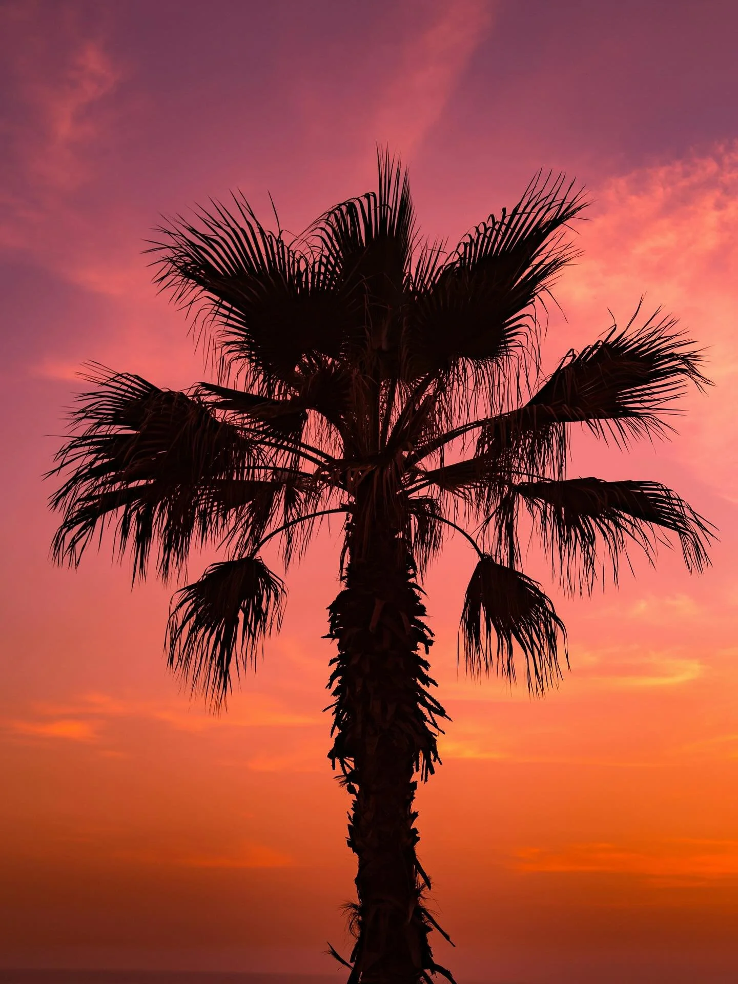 The winter skies in Ibiza are something else, deep red, quiet, and powerful.
They&rsquo;re a reminder that not every season is about growth.
Some are about resetting, thinking, and getting ready for what&rsquo;s next.
Progress doesn&rsquo;t always lo