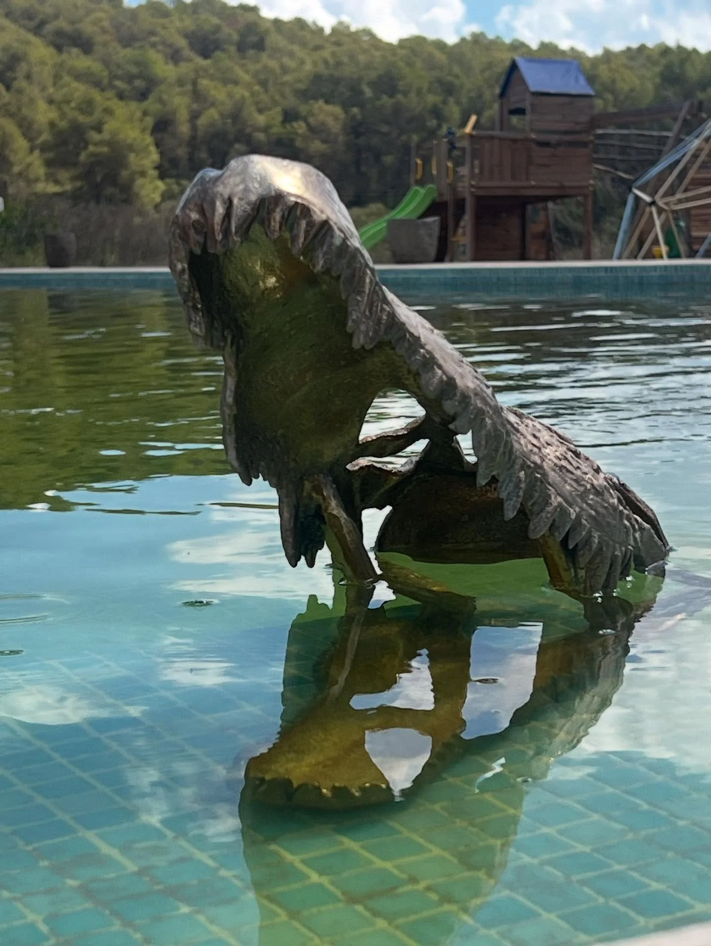 This thing guards the pool.
The kids love it. I just see a reminder that the old instincts never really go away, they just evolve.
You can build a calm life, move to Ibiza, write books&hellip; but there&rsquo;s still a T-Rex somewhere inside.
You jus