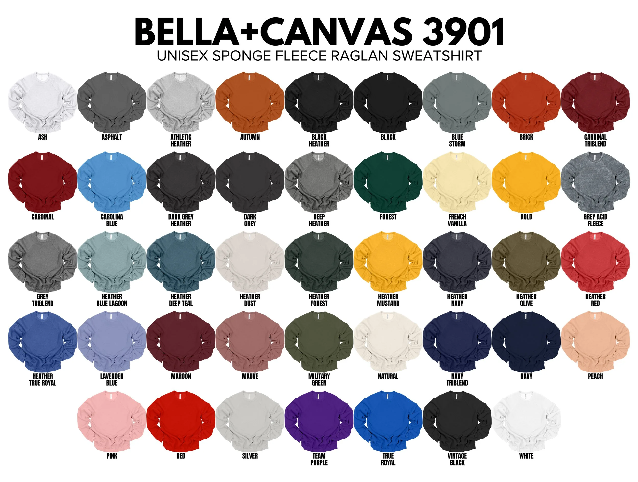 COLORCHART-Crew 3901.jpg