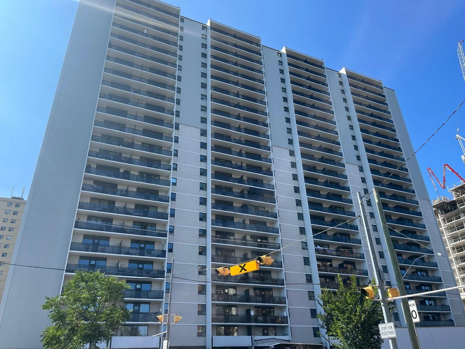 WhatsApp Image 2025-06-17 at 12.16.50_adb24e95.jpg