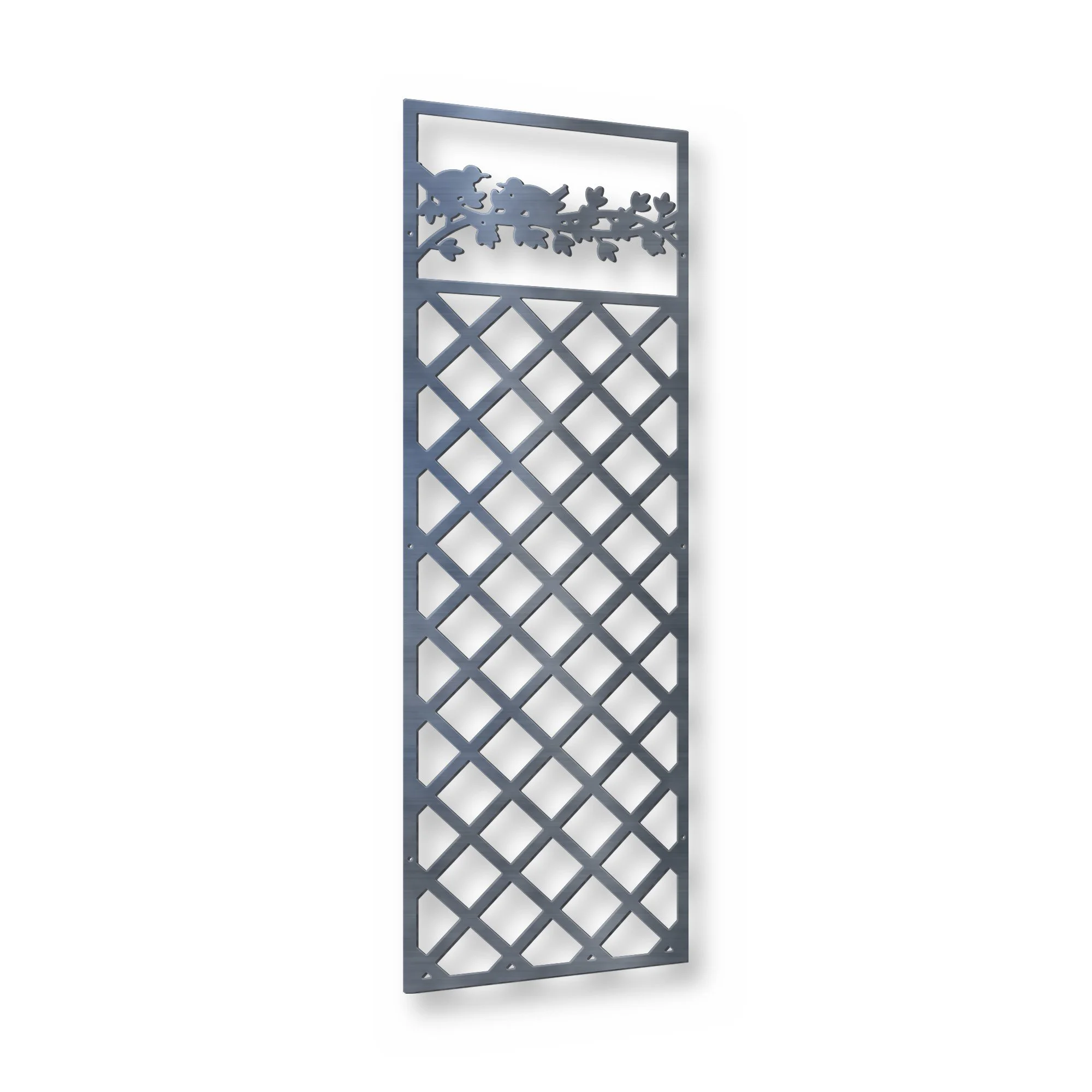 Metal Trellis for Climbing Plants: Choosing and Fixing Steel Supports