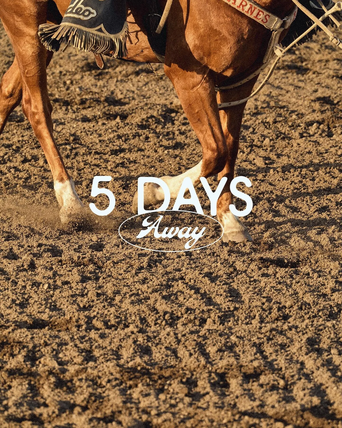 Believe it or not, the Rodeo is coming to town in 5 DAYS. Get your apparel, get your tickets, and BRING THE ENERGY! ⚡️