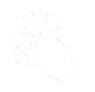 White paw print on black background