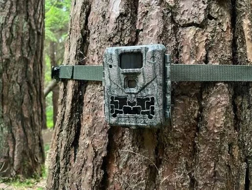 Blog: Can You Use Trail Cameras on Public Land?