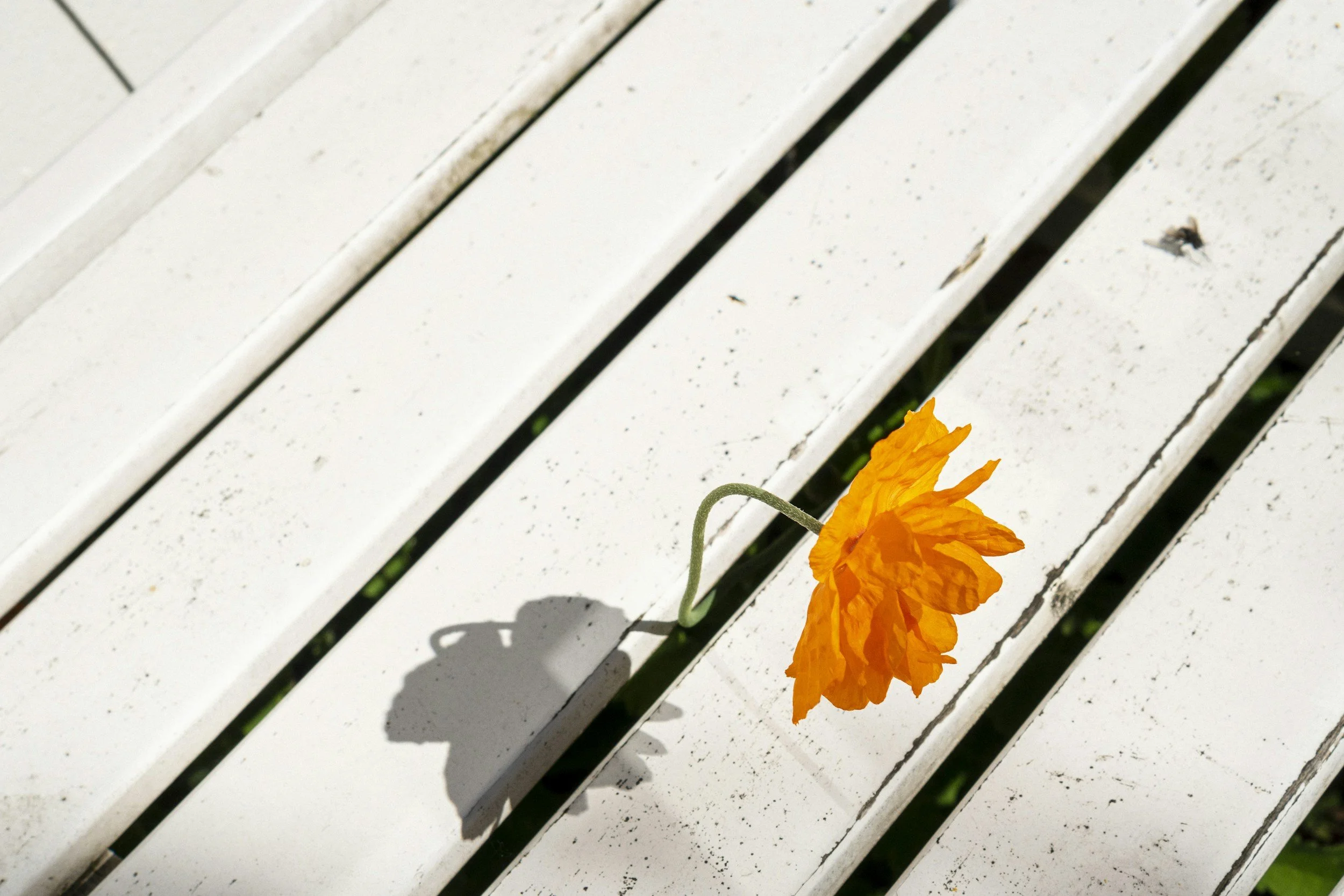 9 Unexpected Benefits of Health Coaching for Hearing Loss