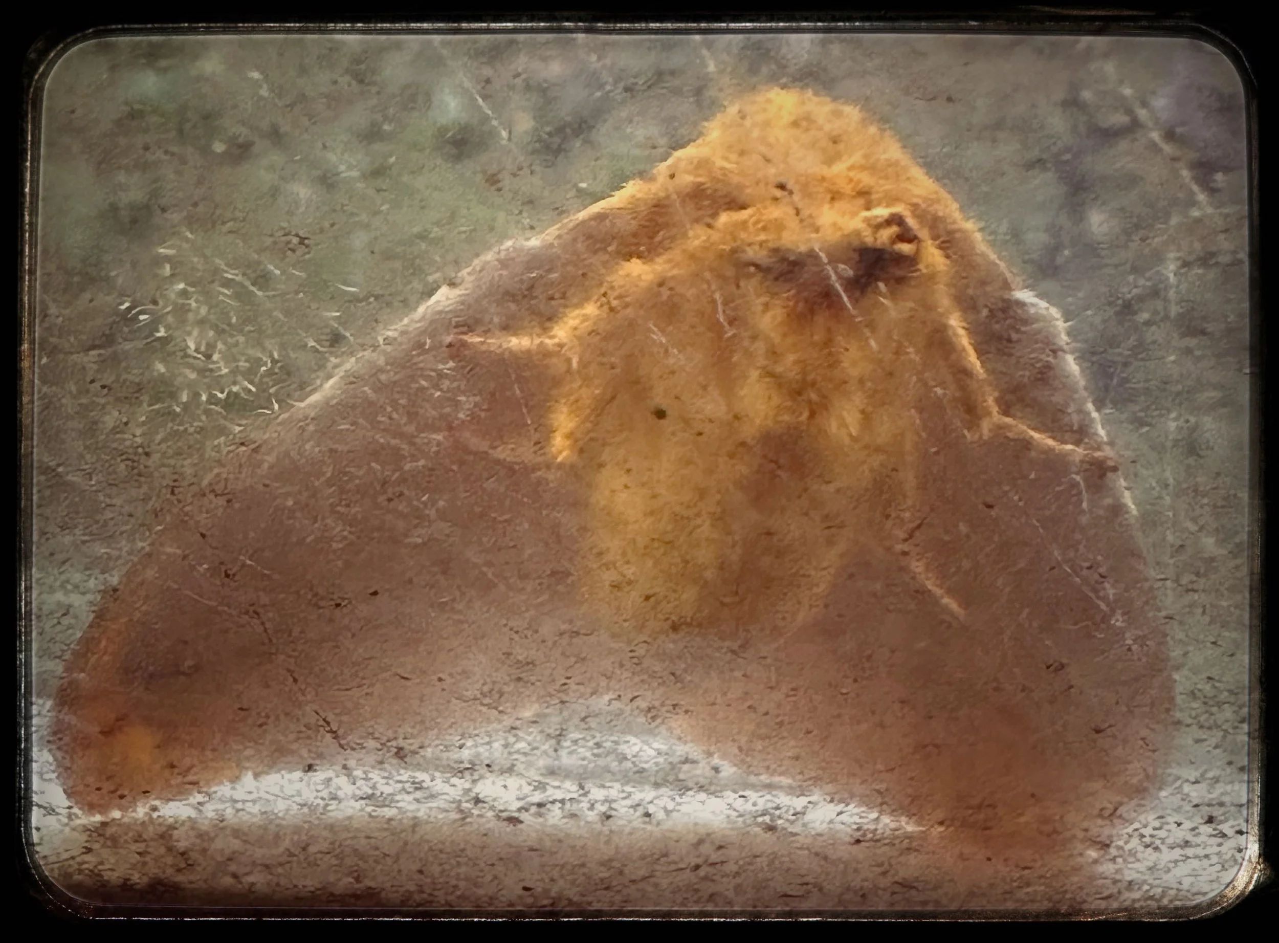 Moth 1 8282025.jpg