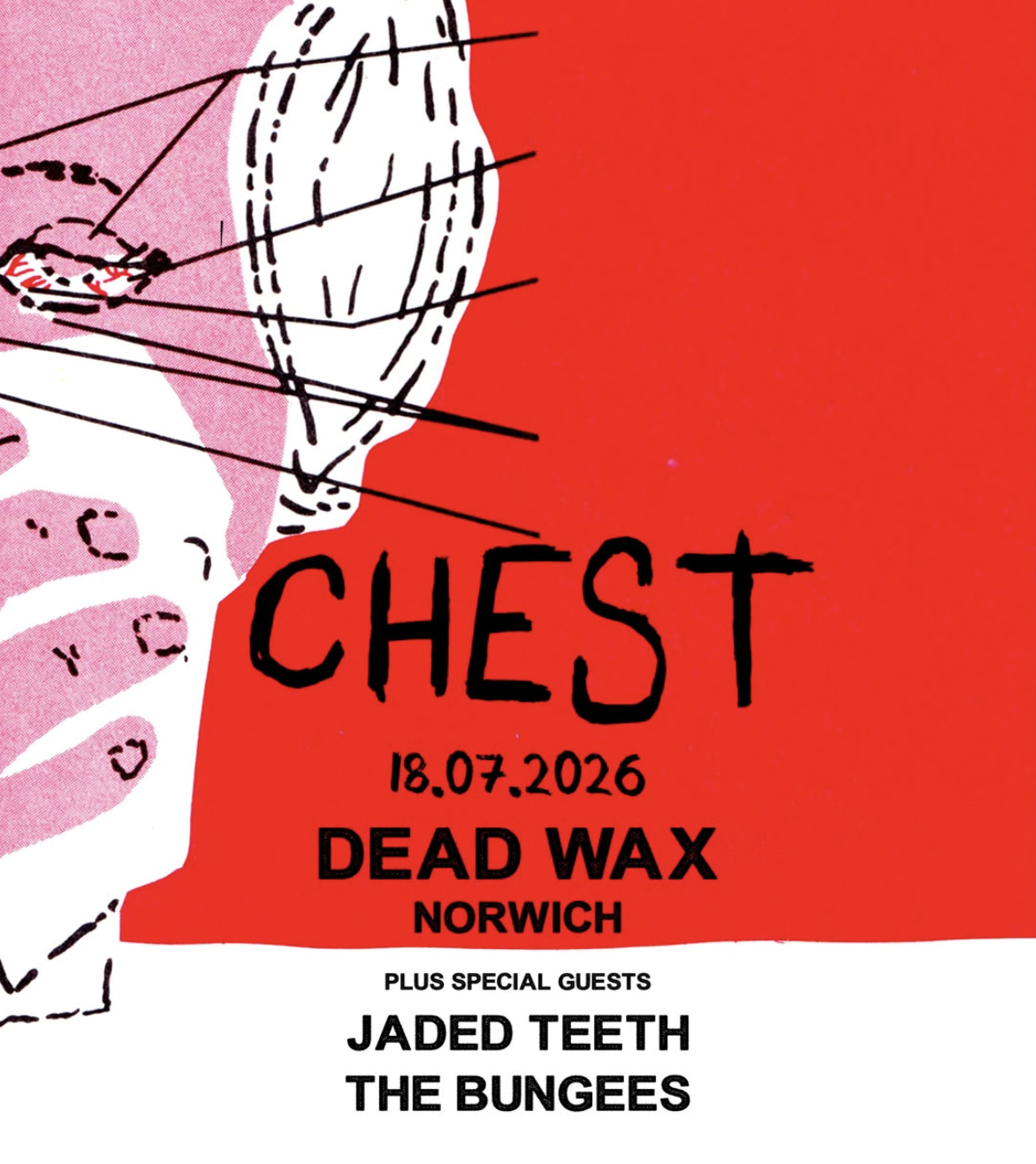 Chest + Jaded Teeth + The Bungees