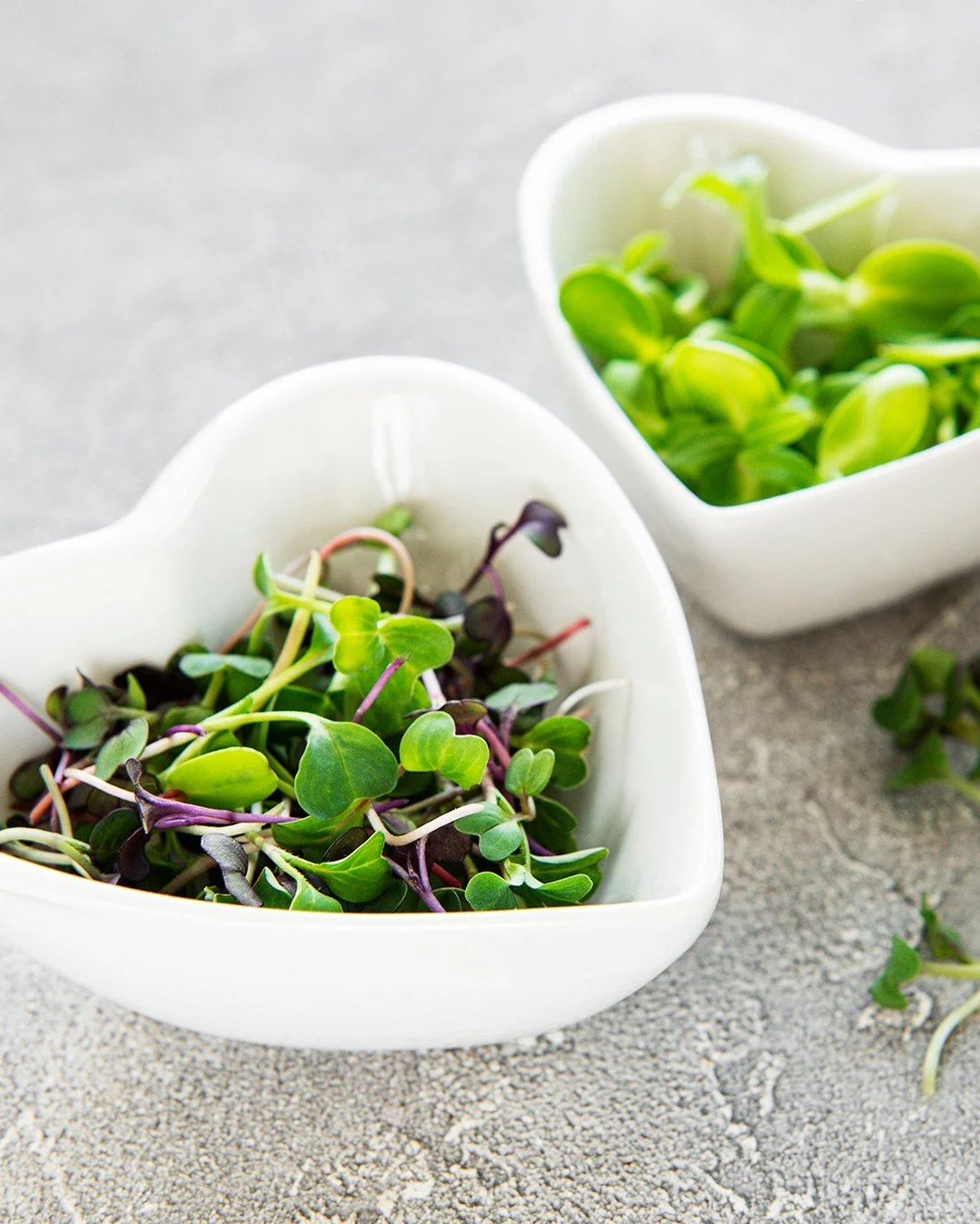BENEFITS OF MICROGREENS: Microgreens offer numerous health benefits due to their high nutrient density and potent antioxidant content. They are rich in vitamins, minerals, and beneficial plant compounds, potentially providing more nutritional value t