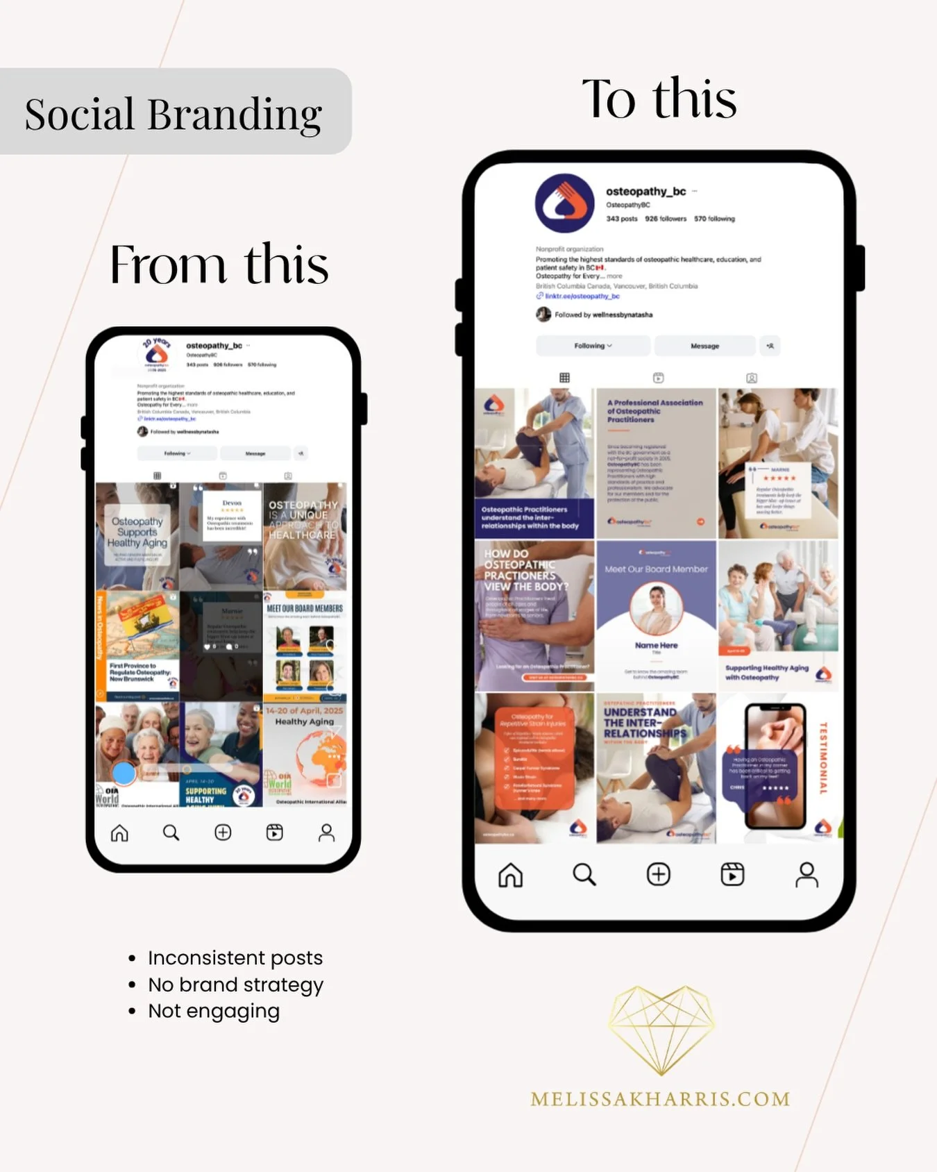 SOCIAL MEDIA MARKETING: Get Your Brand on Instagram (and other social pages)! Package includes your templates in Canva, help setup planning account and creating your new posts. PDF guidelines include imagery, adding &amp; editing copy and post schedu