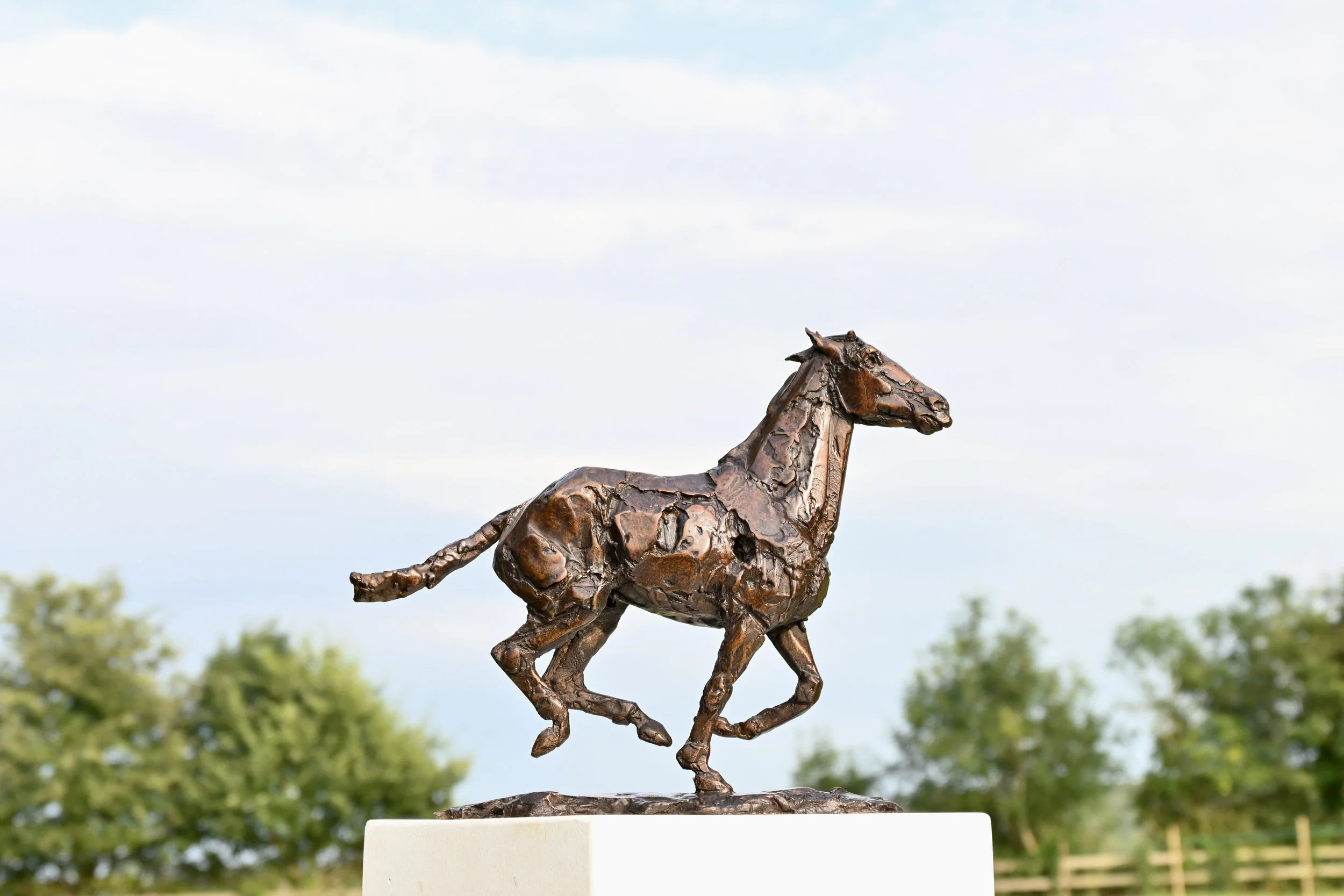 'Recoil' .
Foundry bronze (Edition of 9) .
Height - 36.3cm .
Width - 46cm .
Depth - 11cm .
POA
