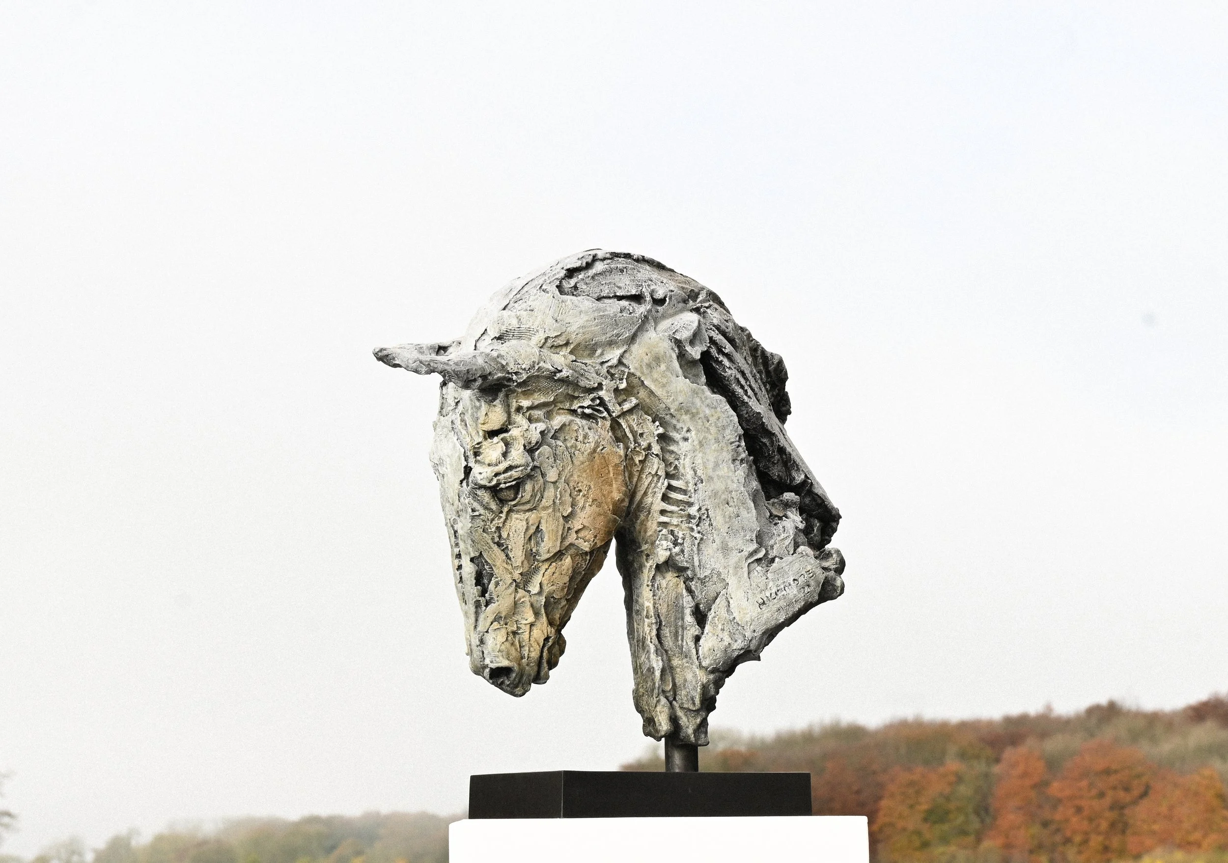 'Round Head' .
Foundry bronze (Edition of 9) .
Height - 47cm .
Width - 47cm .
Depth - 19cm .
POA