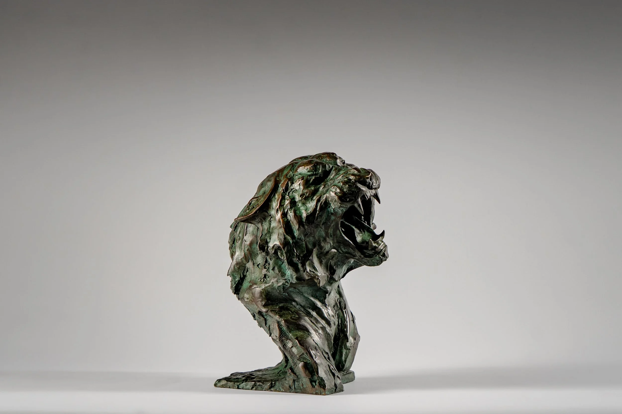'Tiger Roar' .
Foundry bronze (Edition of 12) .
Height - 35cm .
Width - 35cm .
Depth - 25cm .
POA