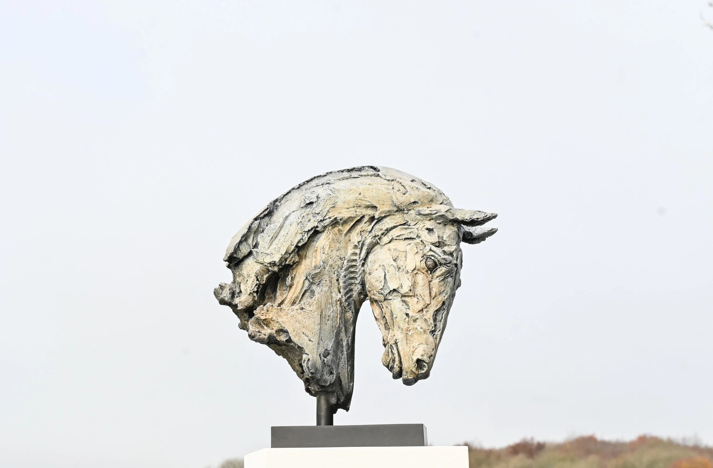 'Round Head'
