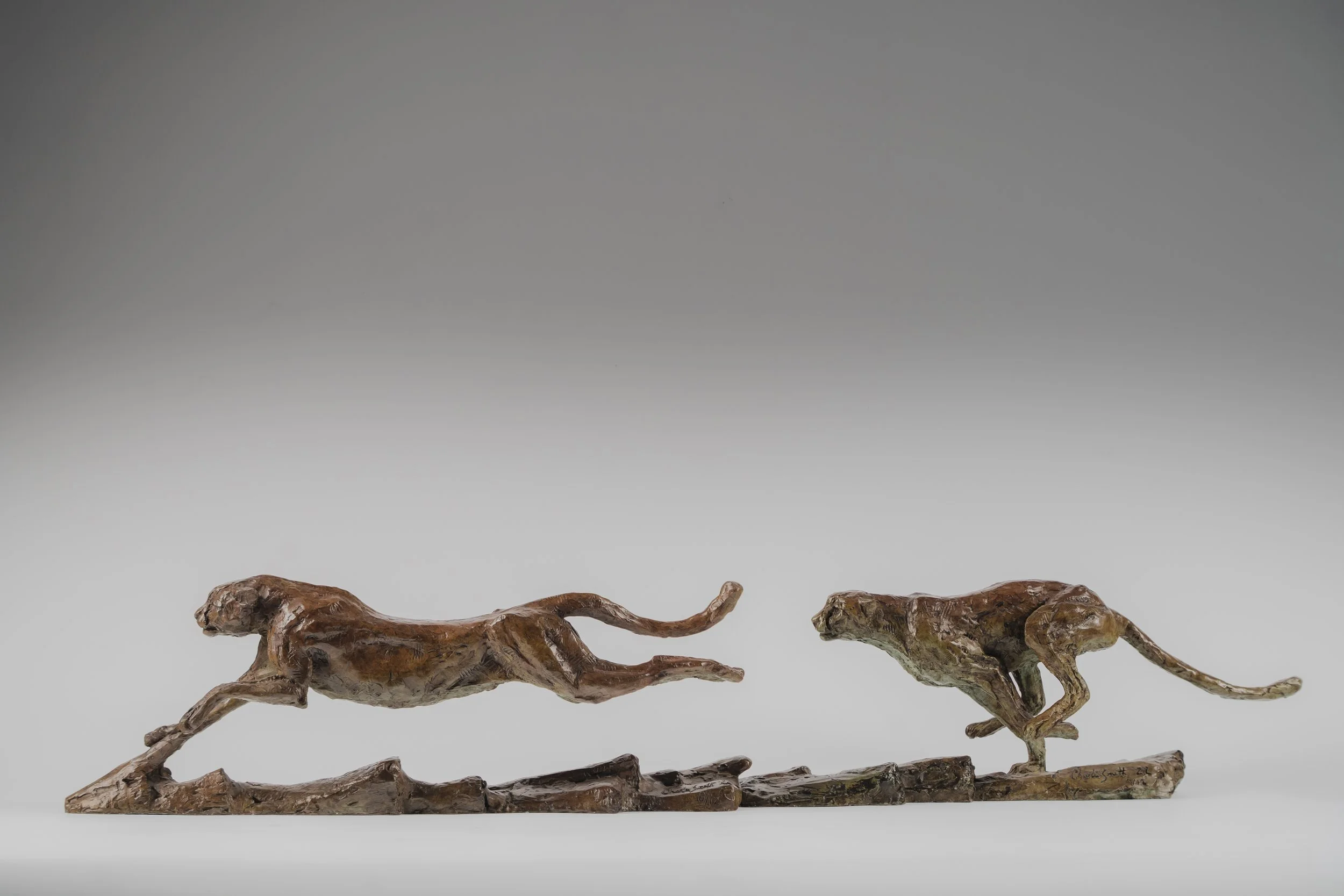 'Sprinting Cheetah Pair' .
Foundry bronze (Edition of 12) .
Height - 23cm .
Width - 103cm .
Depth - 14cm .
POA