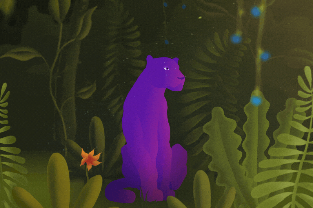 Animated Illustrations