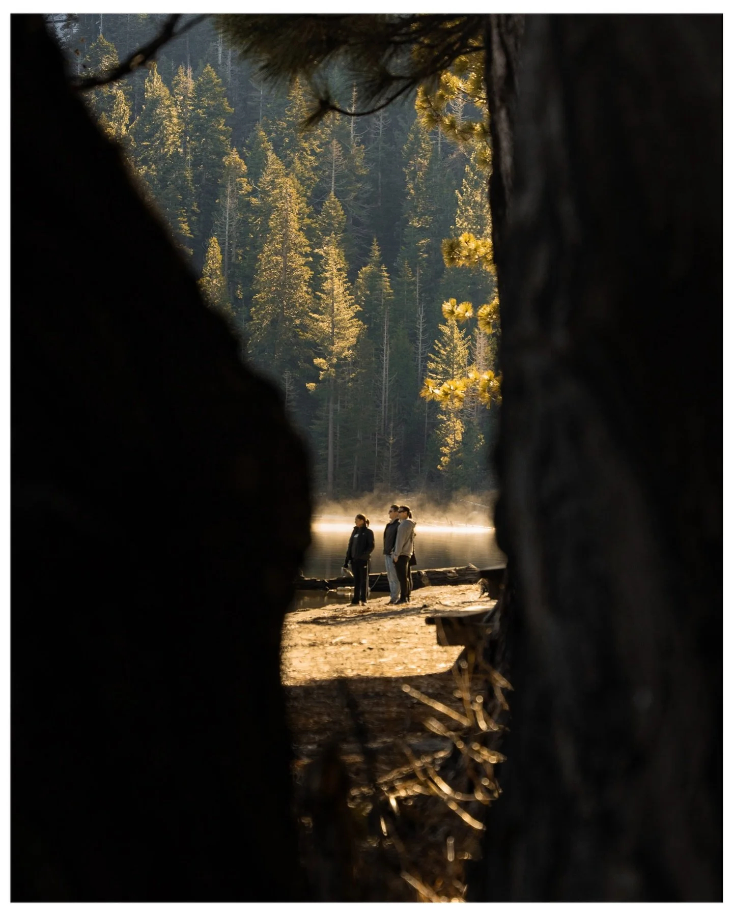 Caught this moment through the trees and it honestly felt like its own little world.

#TahoePhotographer #MorningLight #AdventureCouples #CandidMoments #GoldenHourVibes #StoryDrivenPhotos #OutdoorPhotography