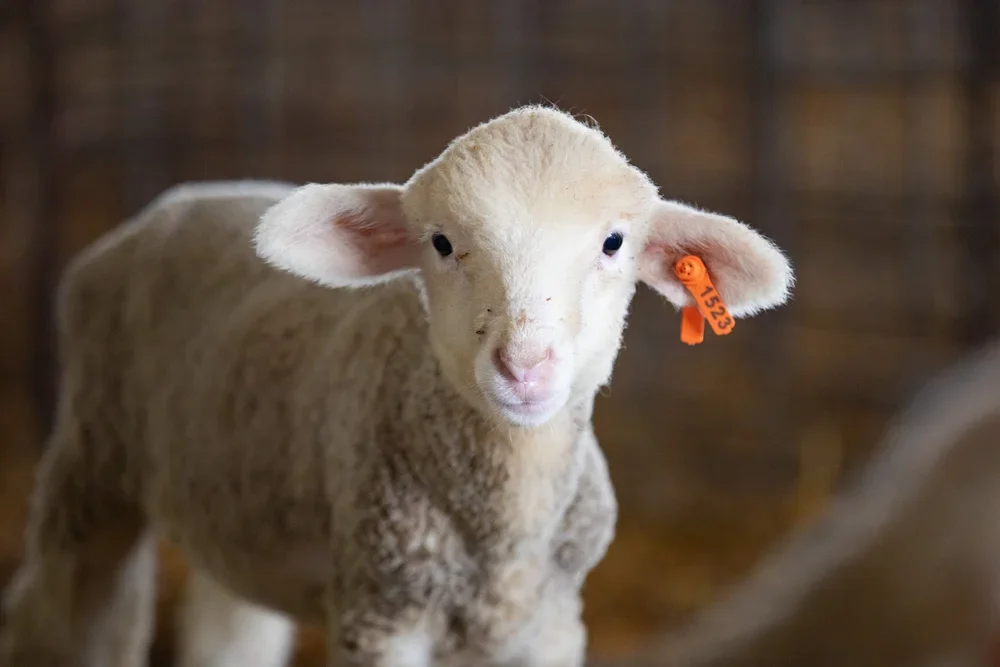 Doing business with Ranch Food Direct