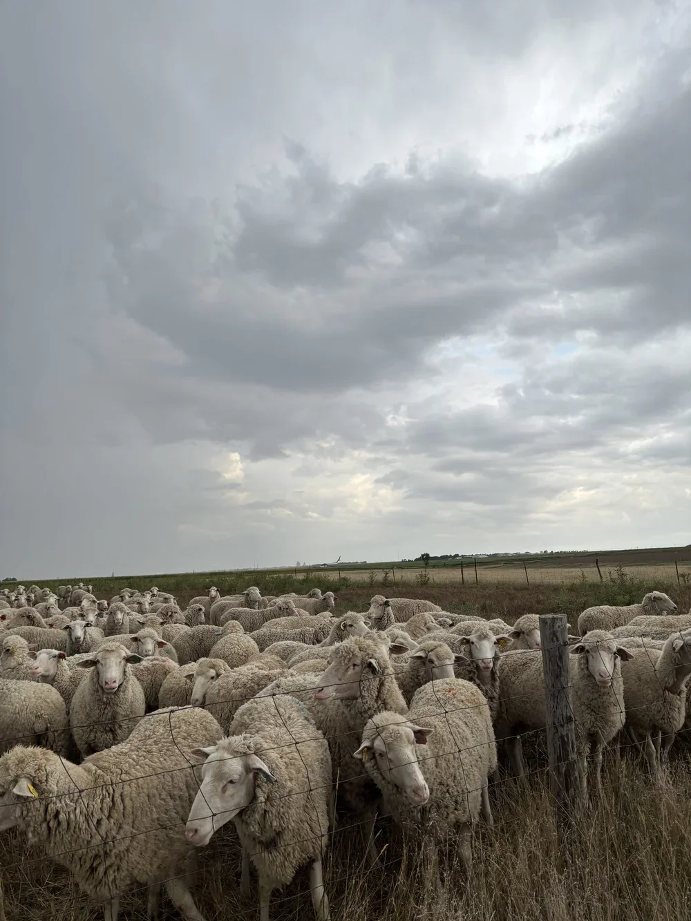 Sunday Morning Storms