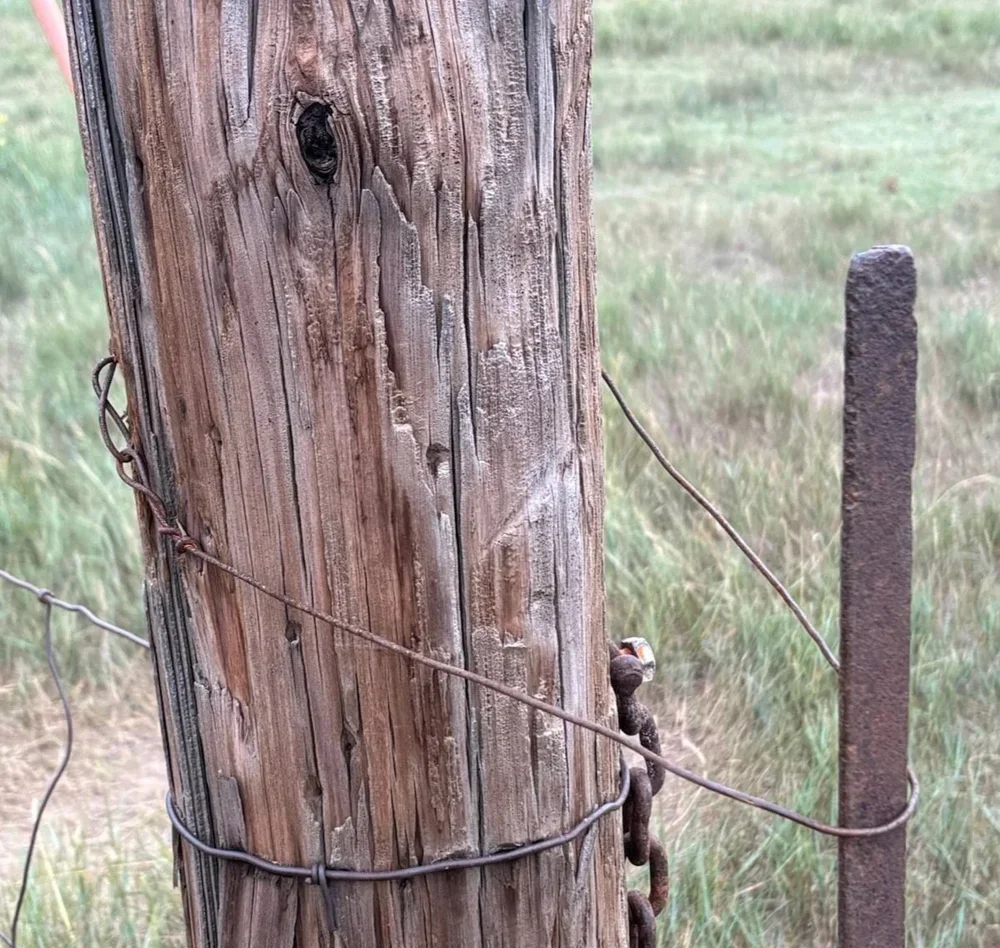 Latch the Gate!!!!!