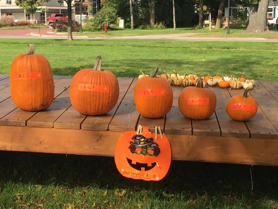 A display of several pumpkins on a wooden table in a park, with different sizes and price tags, and a Halloween-themed sign with a jack-o'-lantern face hanging from the front of the table.