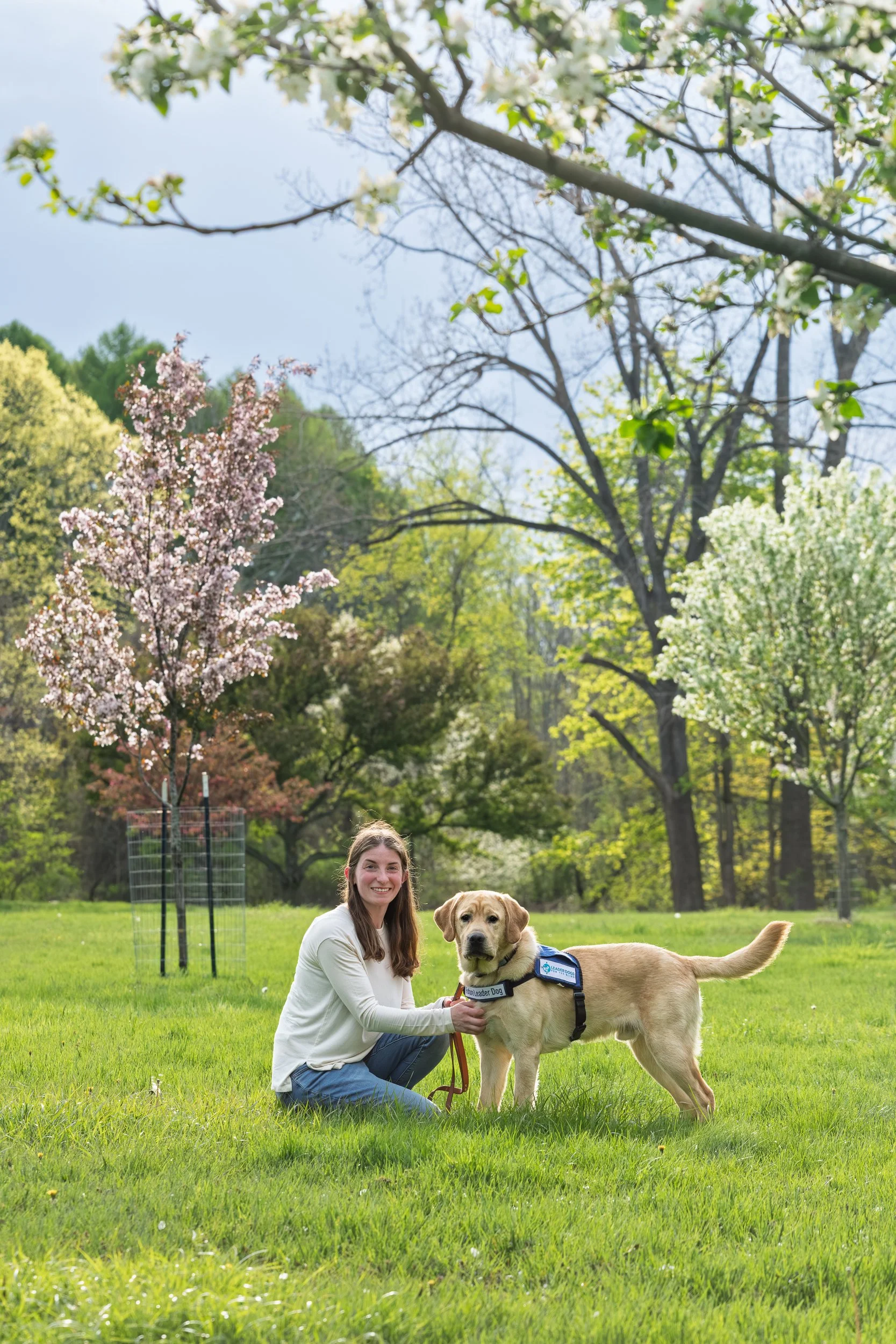 uppy raiser kneeling with a yellow Labrador wearing a Future Leader Dog vest in a spring field at Webster Park, Webster NY