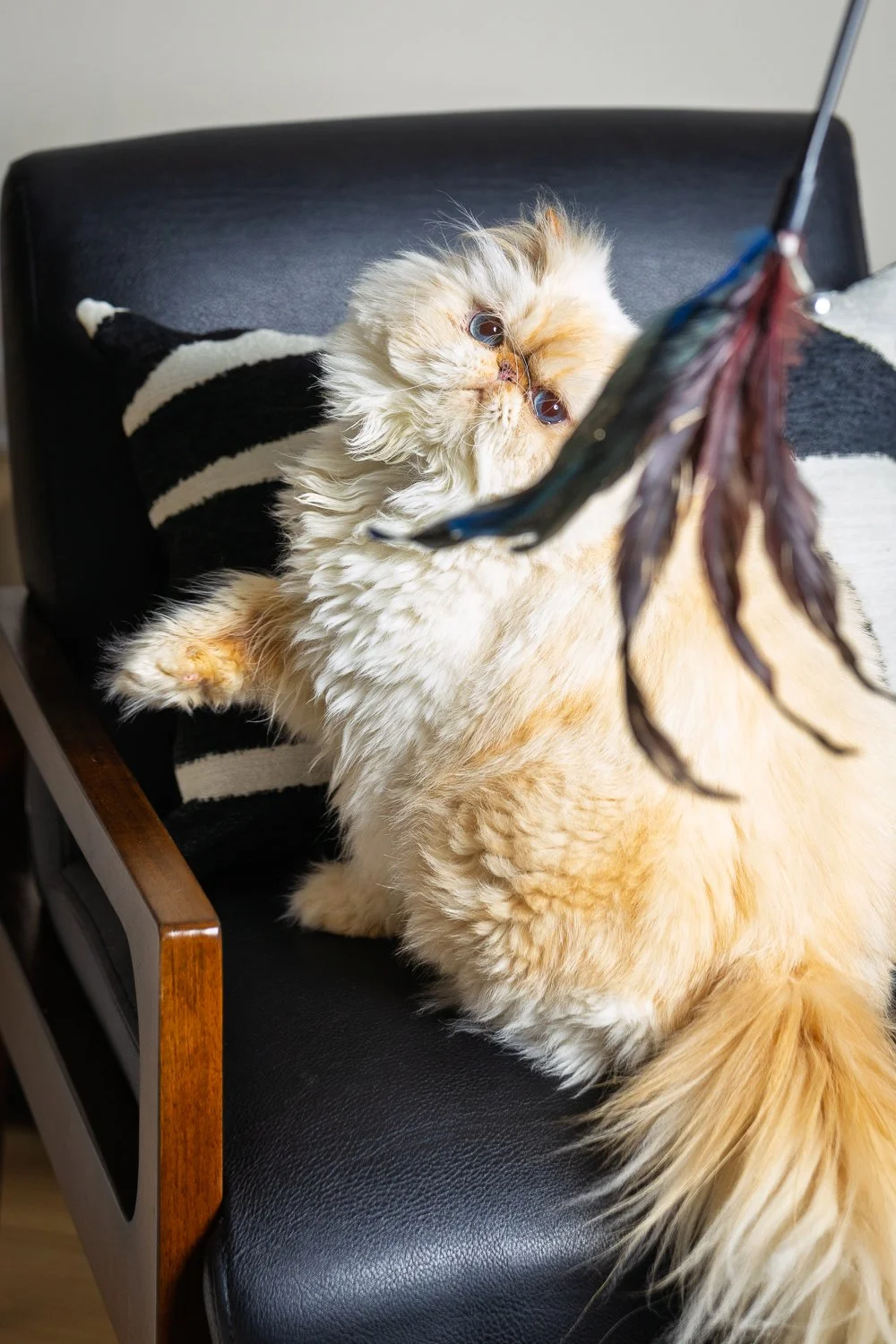 20260118_Lina&Winston_Screen_0003.jpg