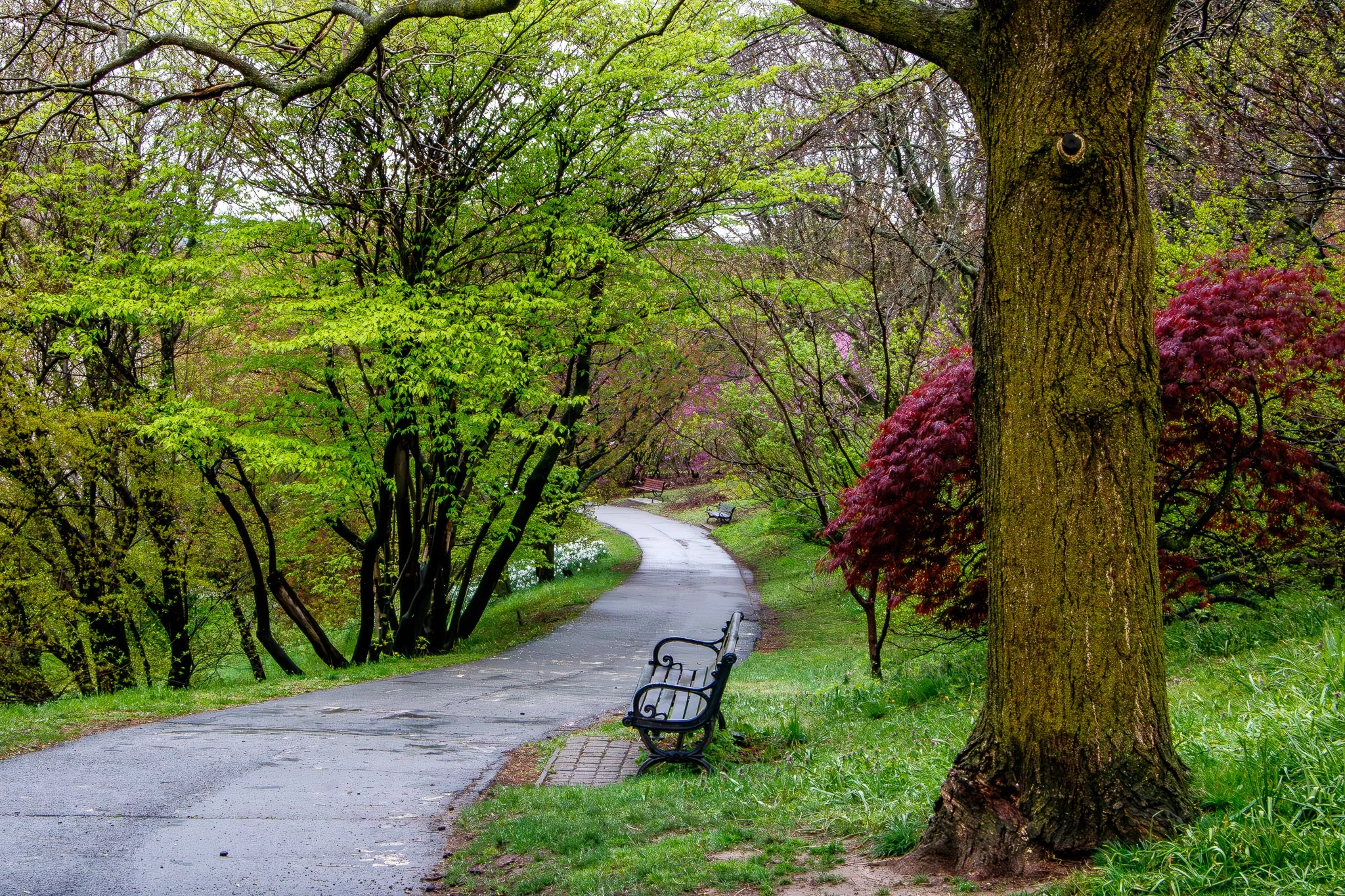 Highland Park Location Guide-5.jpg
