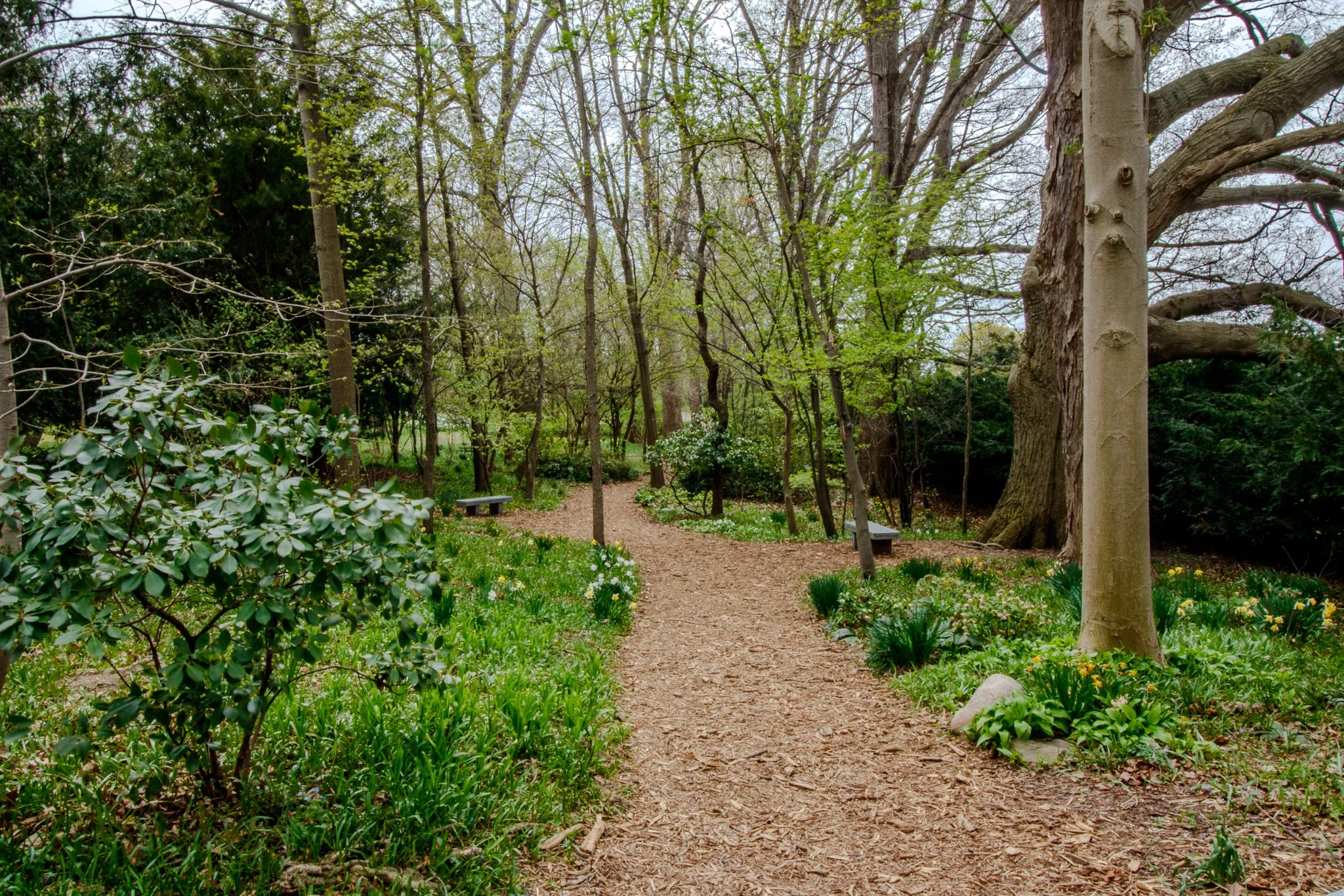Highland Park Location Guide-3.jpg