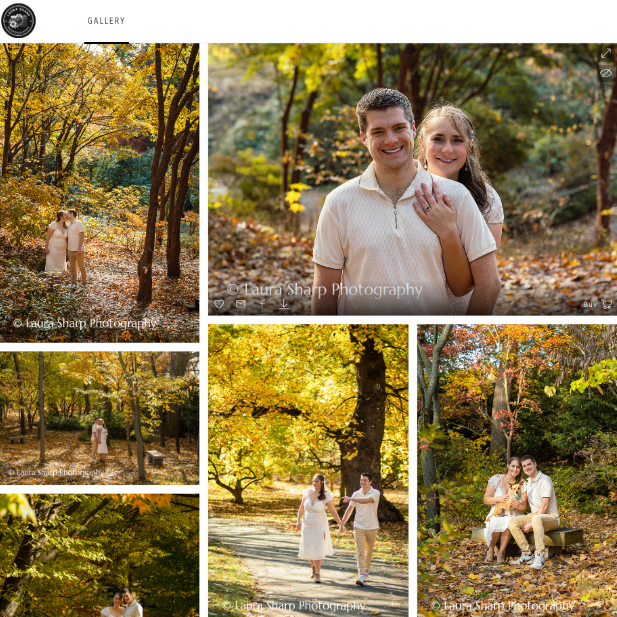 Collage of autumn outdoor portraits of a young couple in a park with fall foliage, trees, and leaves on the ground, featuring photos of the couple walking, sitting, and posing together, with warm sunlight filtering through the trees.