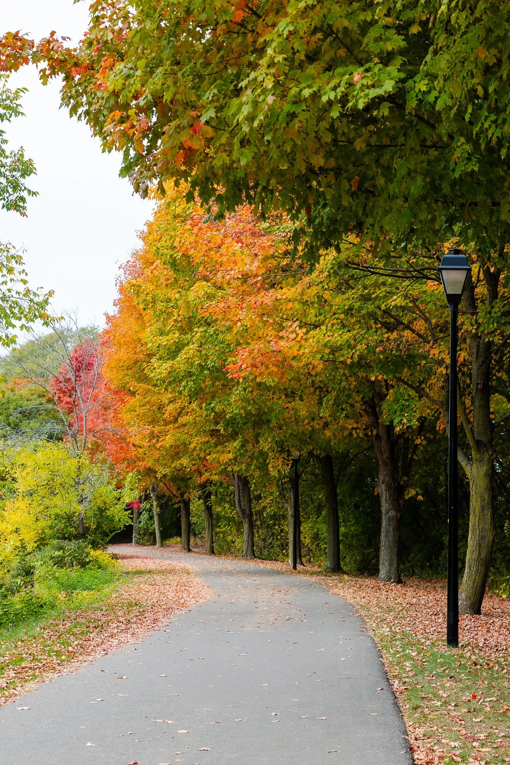 20251017_Canal_Fairport_Screen_0005.jpg