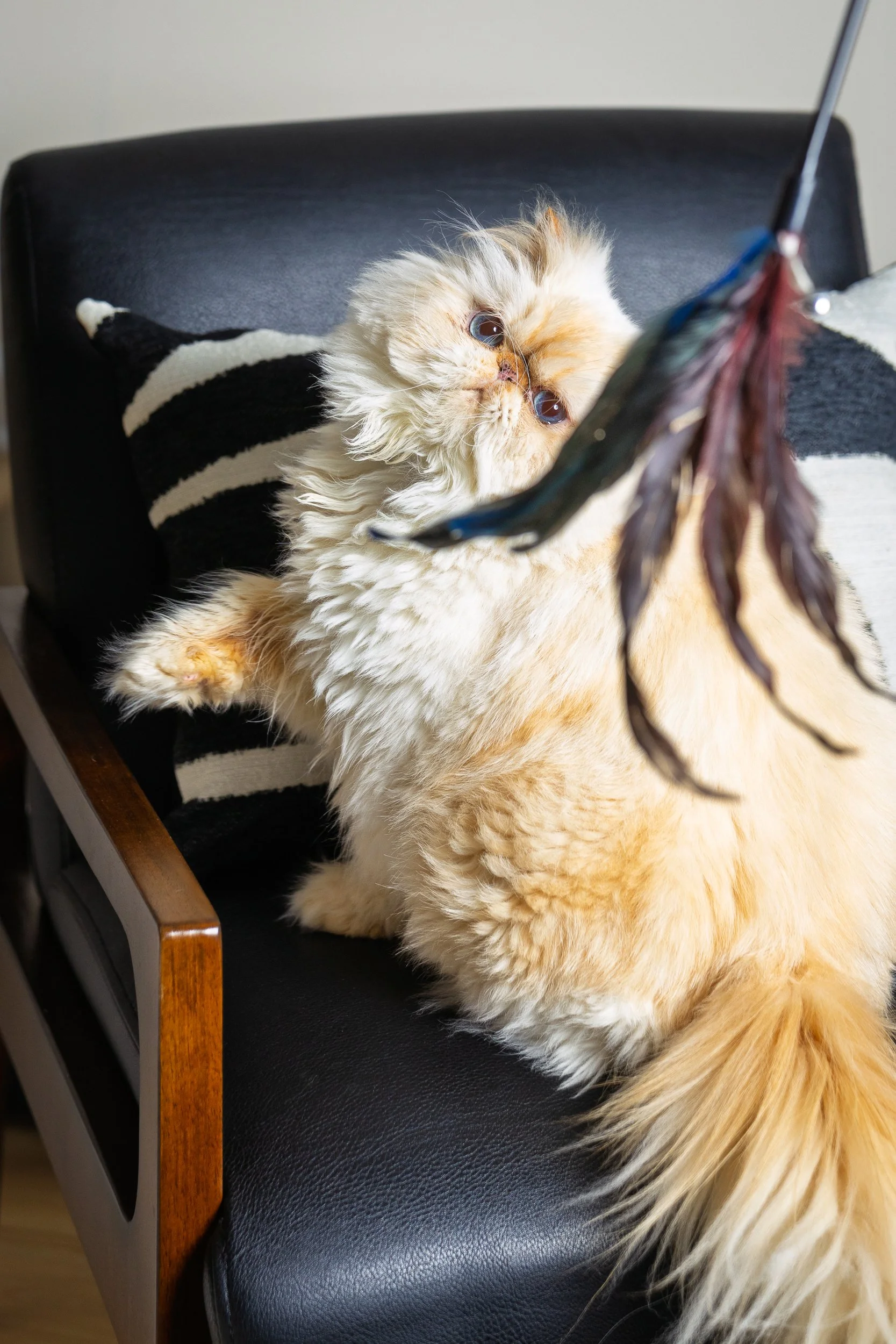 20260118_Lina&Winston_Screen_0001.jpg