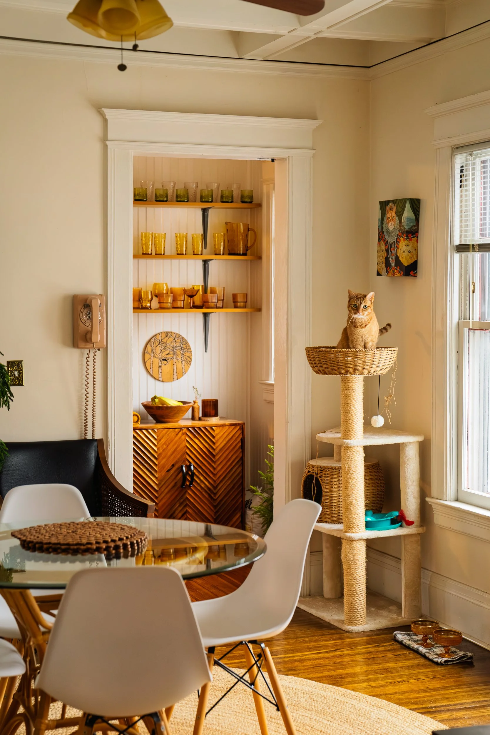 A cozy dining room with a round glass table surrounded by white chairs. A beige cat is sitting in a wicker basket on a beige cat tree by a window. There are wooden shelves with colorful dishes in a small room or pantry visible through an open doorway