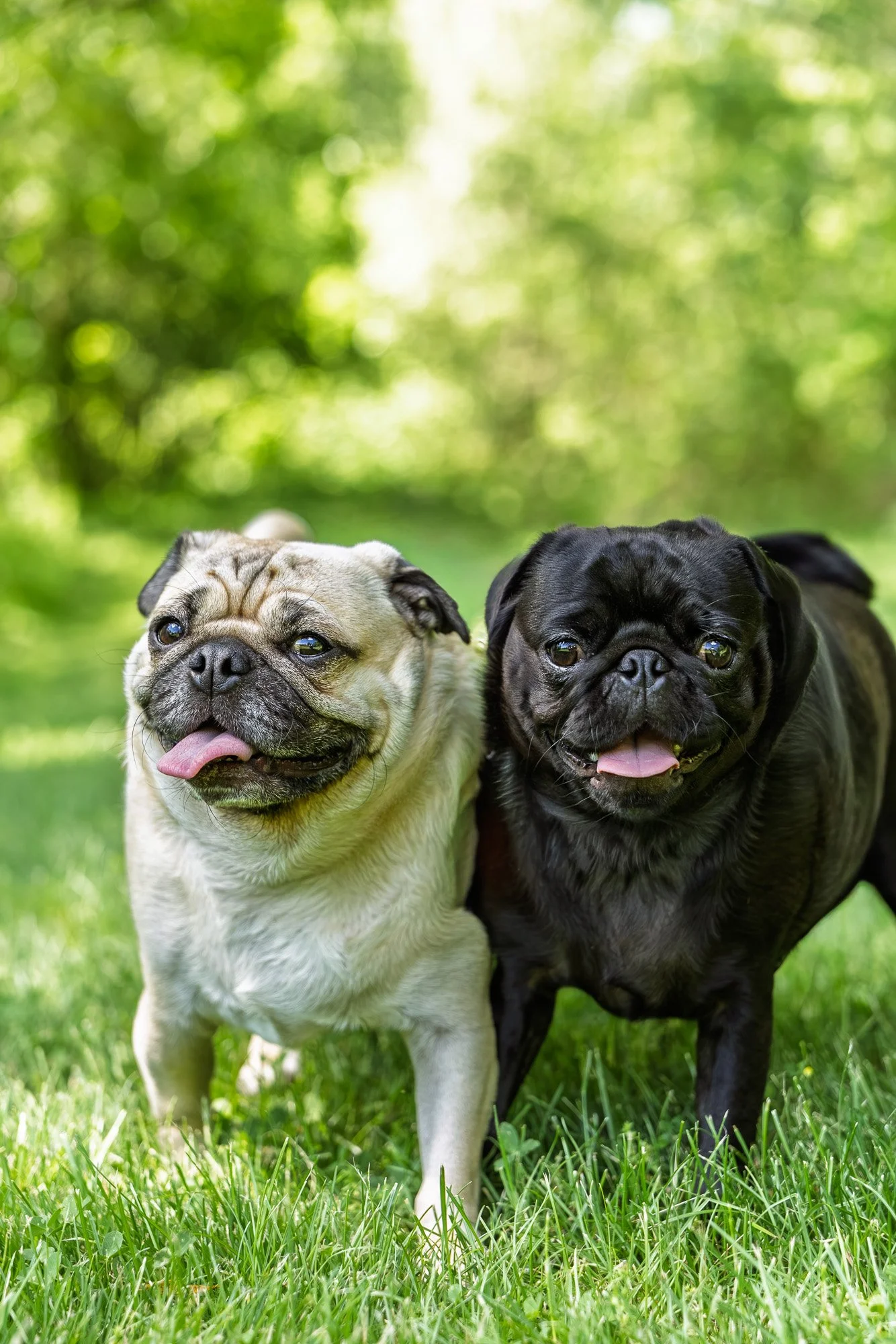 20260606_Chewy&Remington_Website_0002.jpg