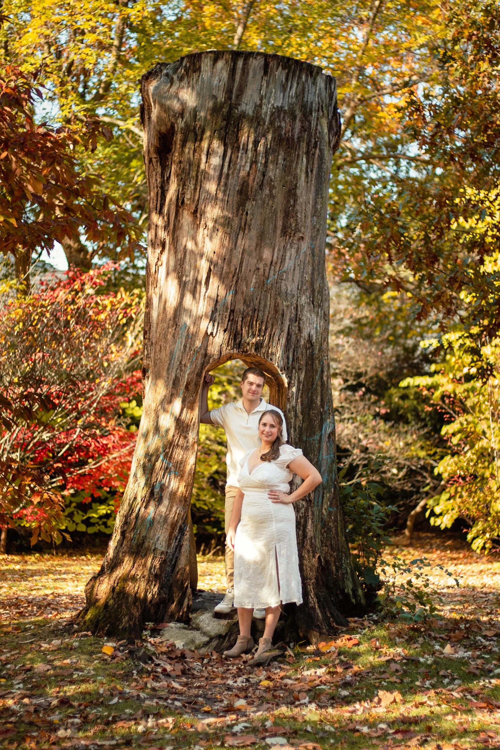 Tree Trunk Frame.jpg