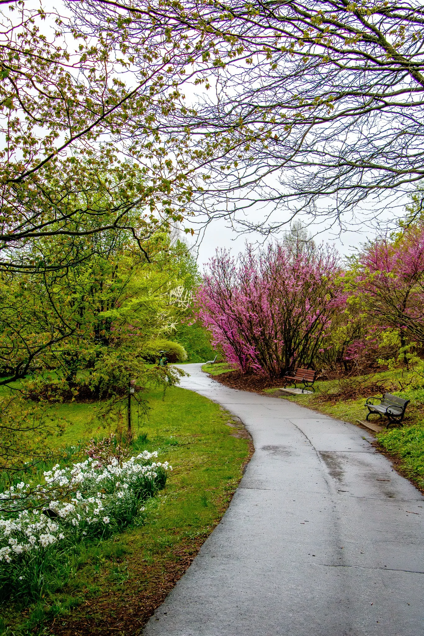 Highland Park Location Guide-6.jpg