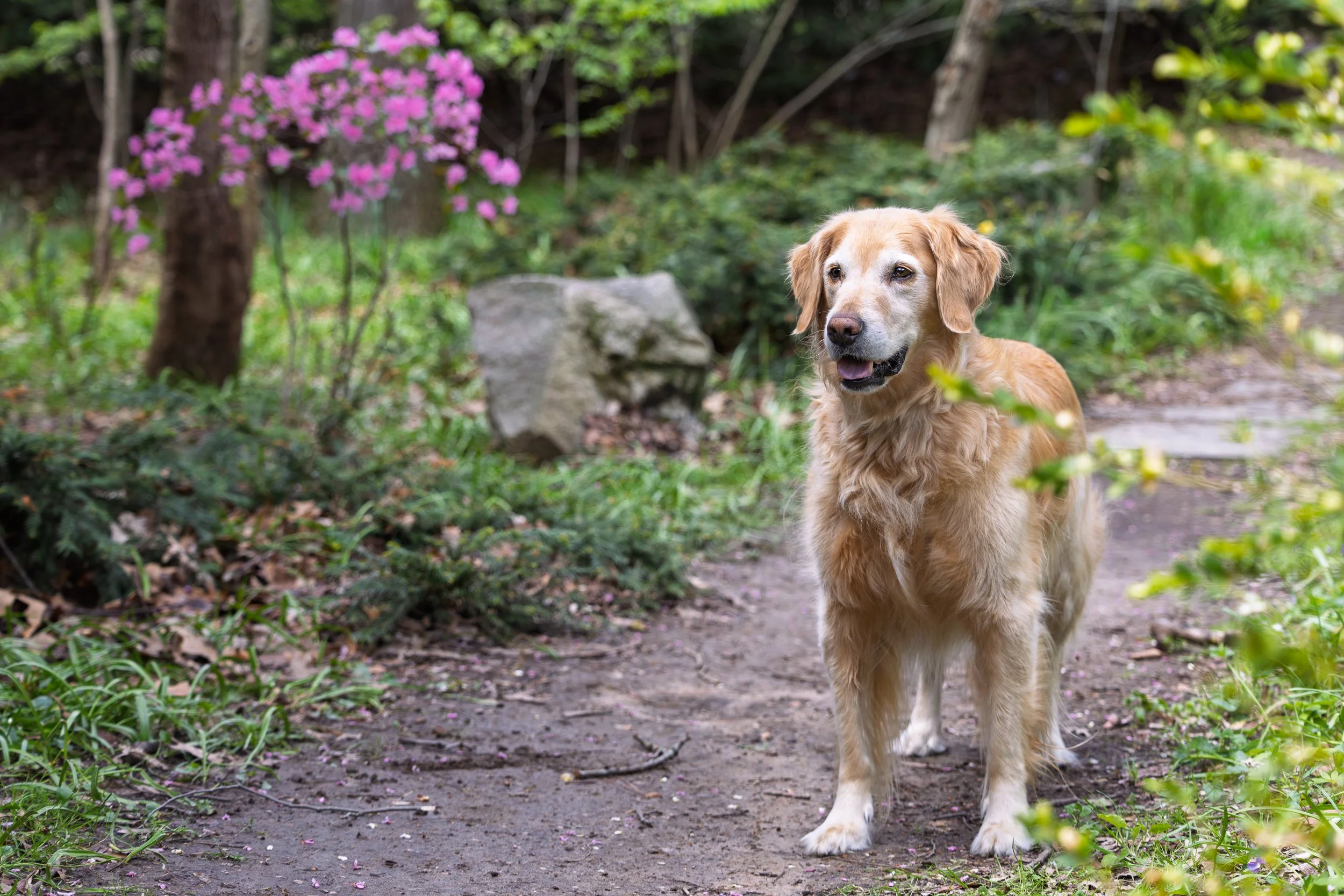 20260507_Jorah_HighlandPark_Website_0001.jpg