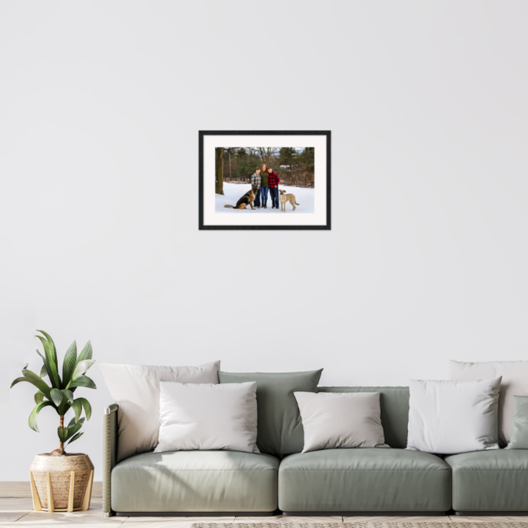 A living room with a light green sofa decorated with white and green pillows, a potted plant to the left, and a framed photograph of two people with dogs outside on a snow-covered landscape hanging on the white wall behind.