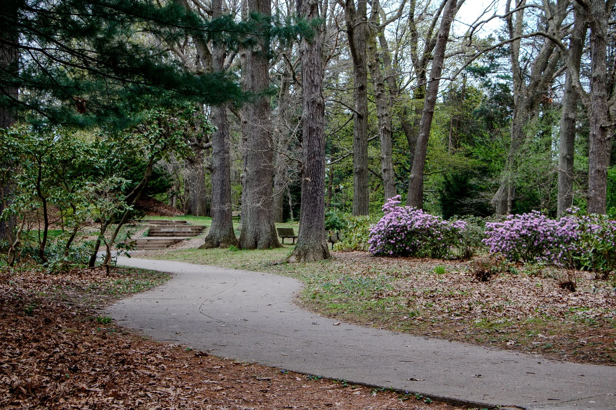 Highland Park Location Guide-4.jpg
