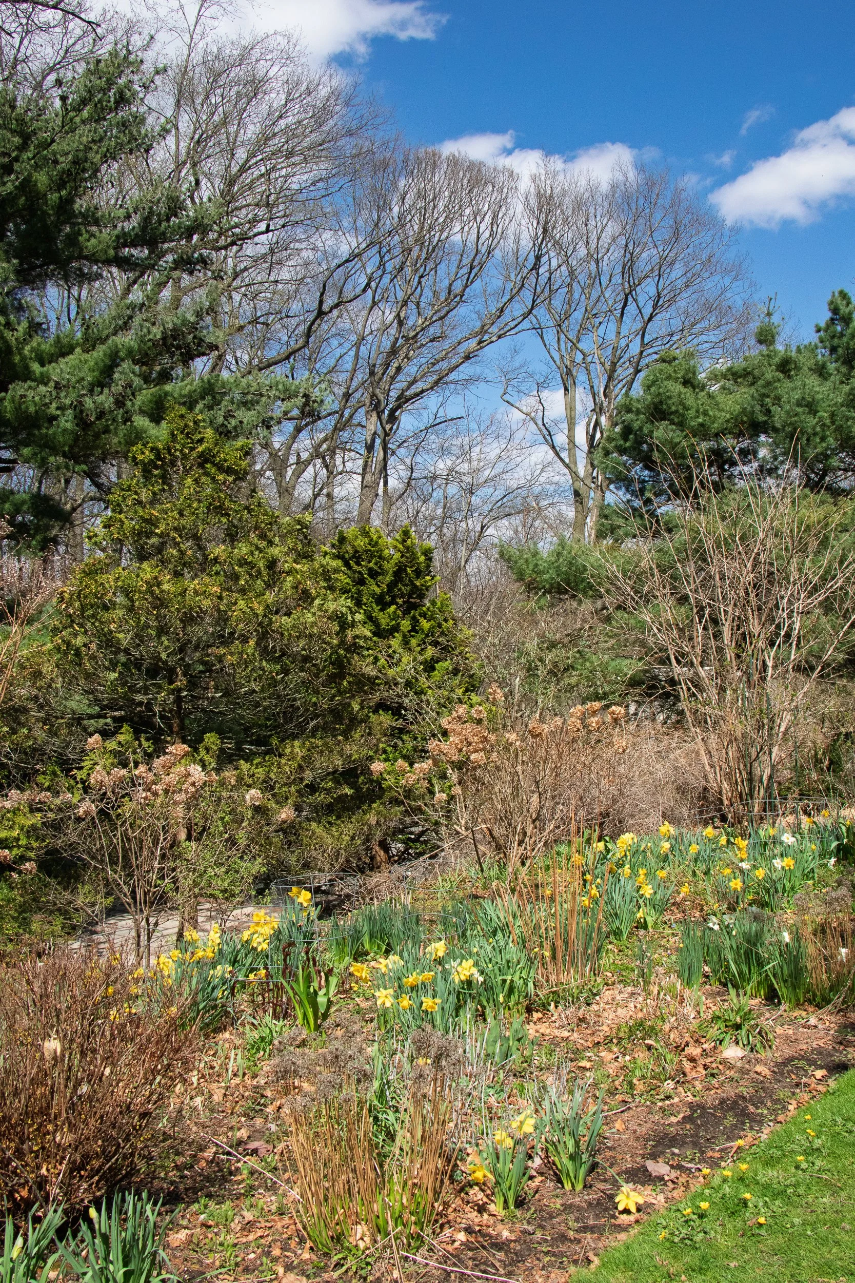 20250422_SunkenGarden_0001.jpg