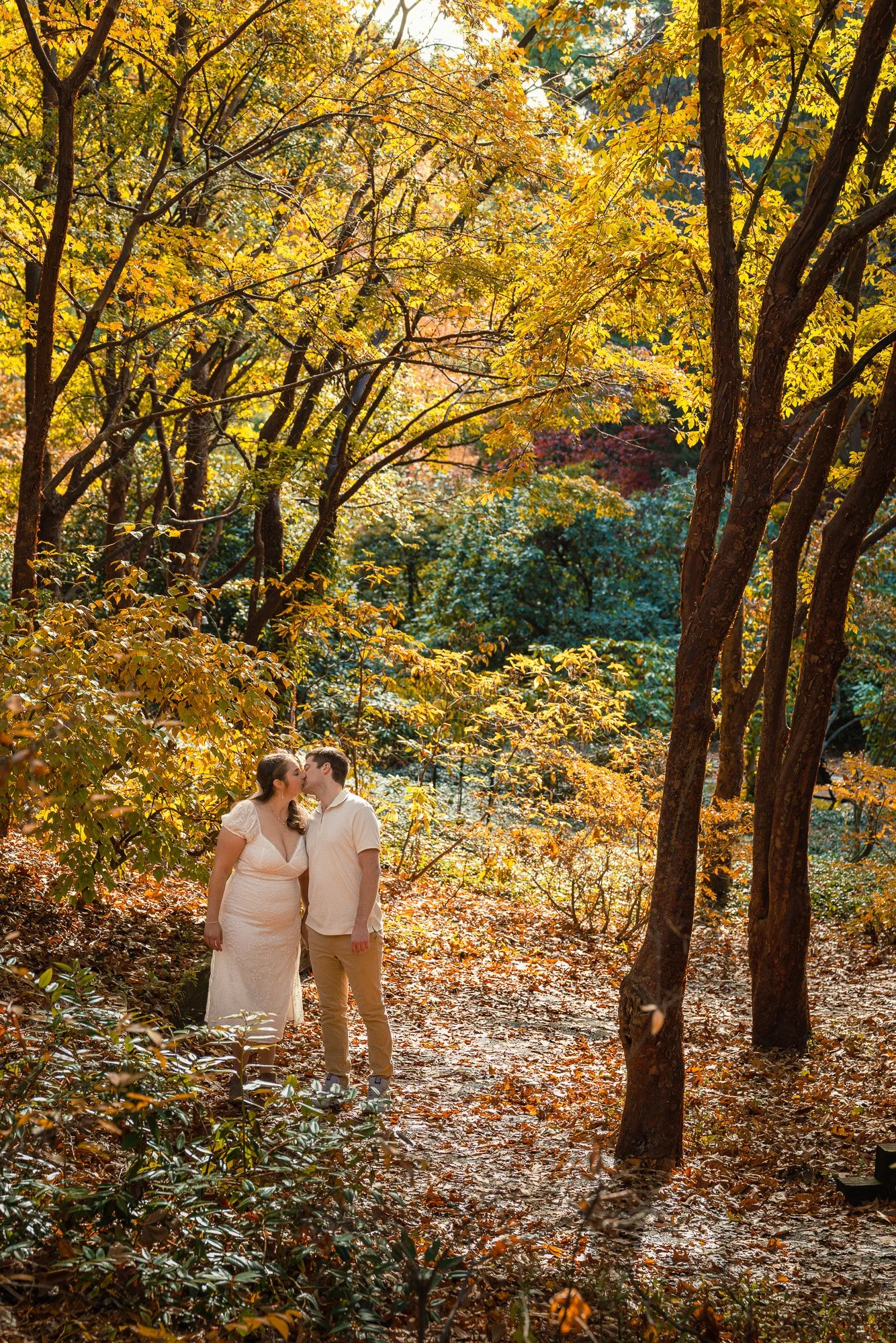 A couple kissing in a forest with autumn foliage, yellow and orange leaves on trees and the ground.