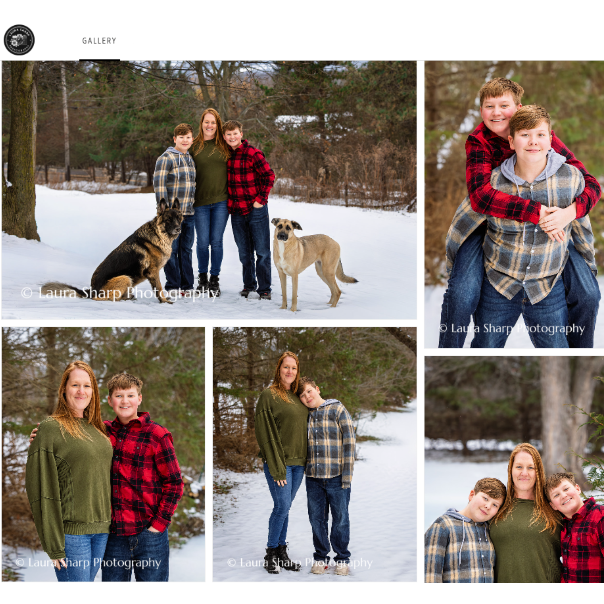 A collage of five photos of a woman and two boys in a snowy wooded area. In the top left, they are standing with two dogs, one sitting and one standing. In the top right, the boys are hugging, with the older boy on the younger's back. The bottom left shows the woman and the younger boy. The bottom middle has them standing close together, and the bottom right features the boys leaning against the woman with trees and snow in the background.