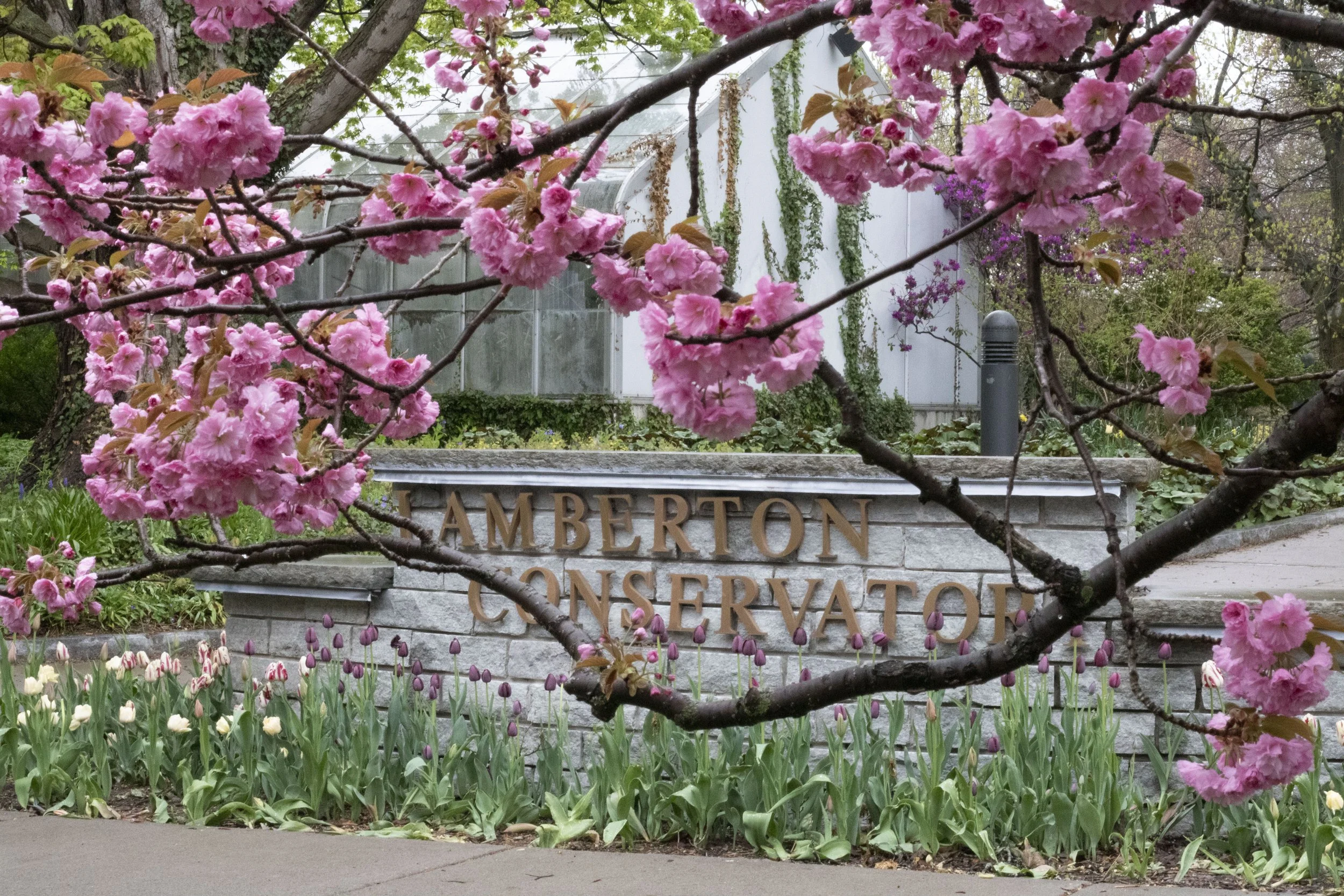 Lamberton Conservatory