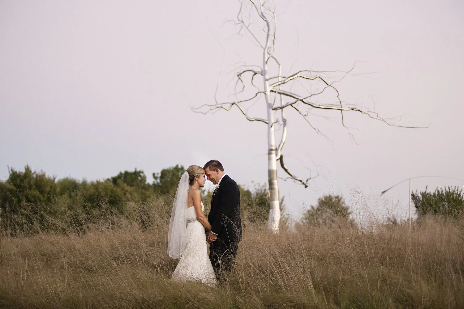 northcarolinamuseumofartphotographer027.JPG