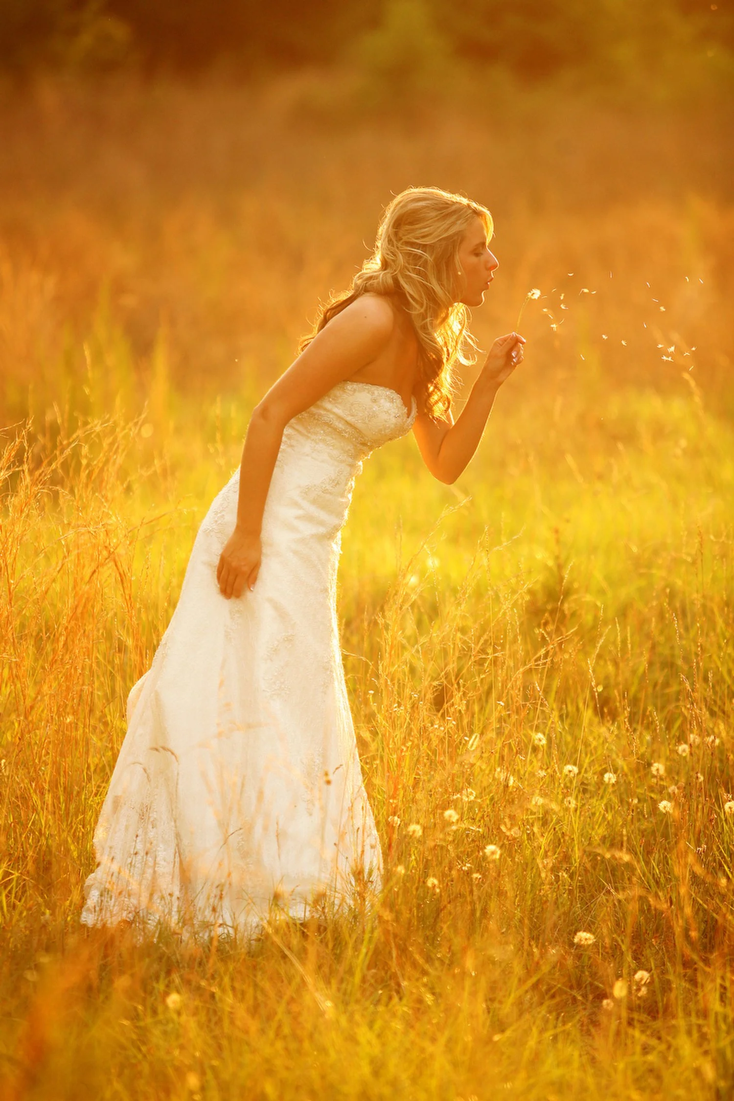 Side view of woman with long blonde hair in a white dress blowing on a dandelion in a golden field at sunset for her bridal portrait.
