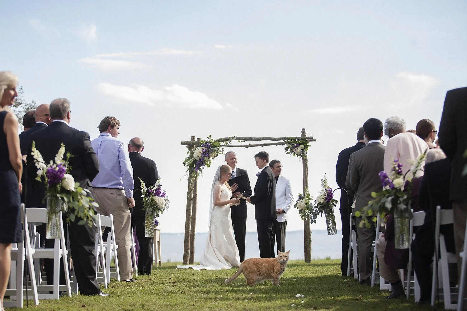 Outdoor wedding ceremony by the water with a bride and groom exchanging vows under a rustic wooden arch decorated with flowers. Guests seated on white chairs are watching, and an orange cat is on the grass in front of the ceremony area.
