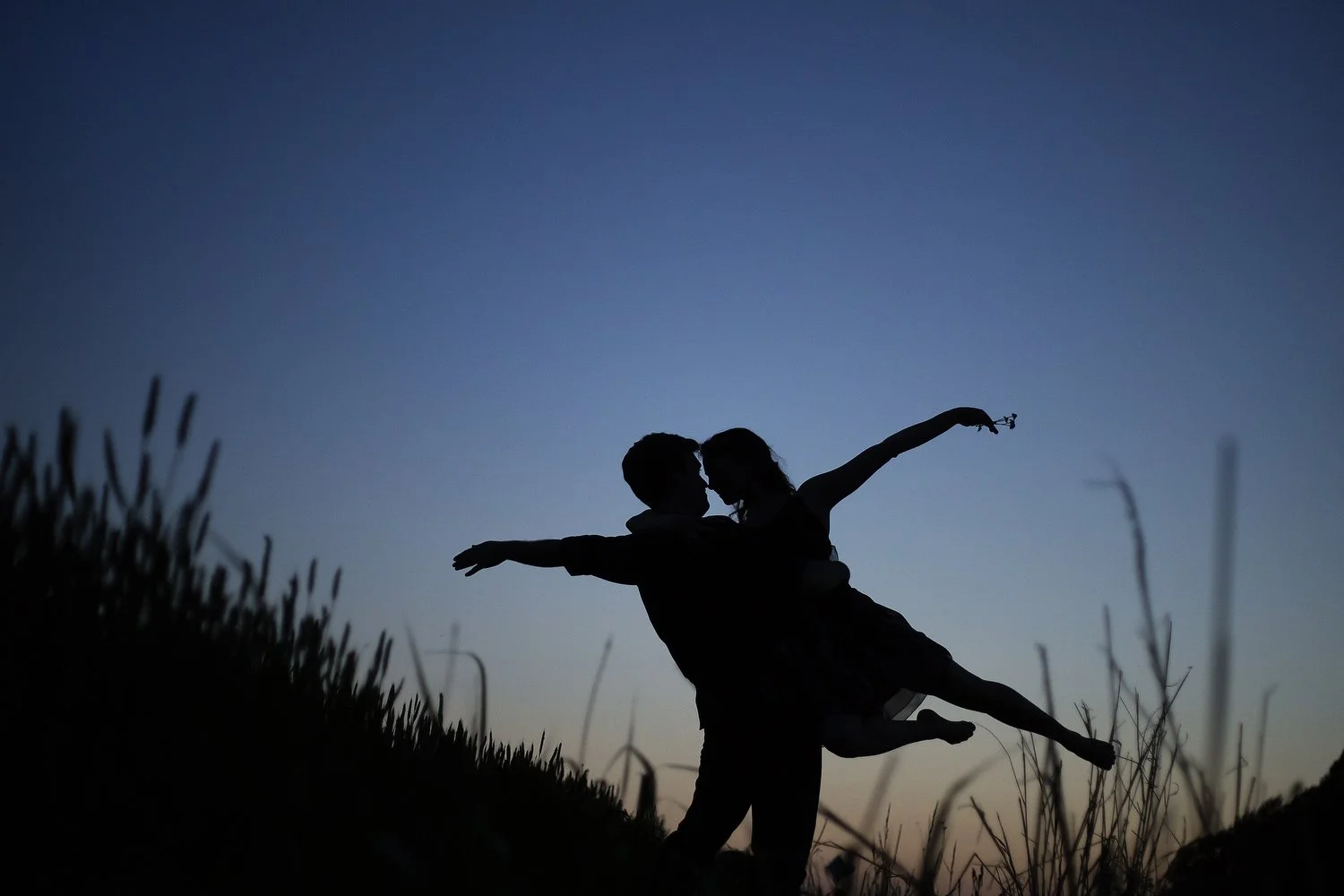 Silhouette of dancers in an overgrown field. It's sunset, and the sky is getting to be a dark blue with pale pink at the horizon behind the couple. He holds her up in the air and her feet are pointed outward and their arms are up as if they are in a 