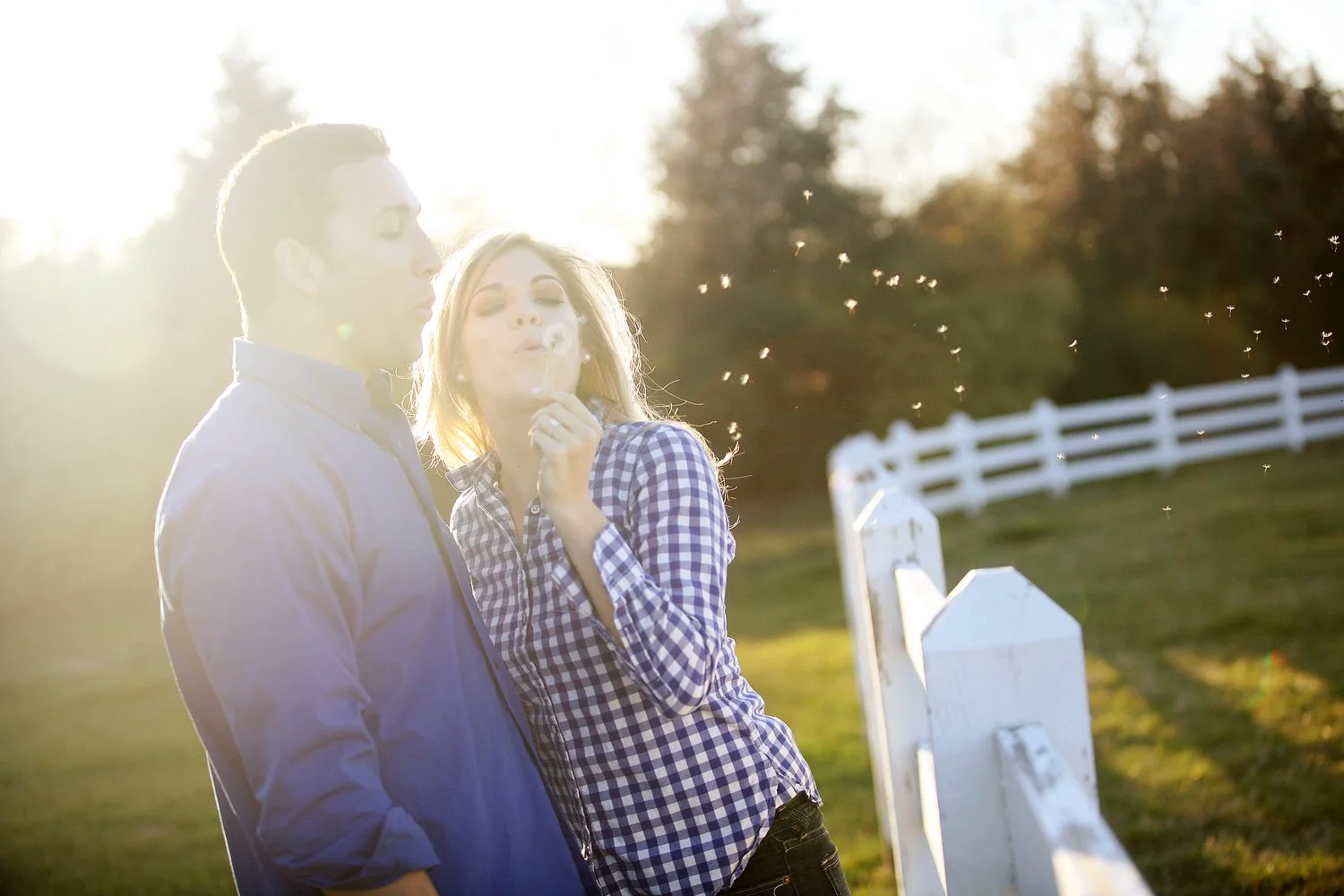 Late evening sunlight offers gorgeous backlighting on a couple leaning in to each other to blow on a dandelion. The dandelion seeds are seen blowing in the air to the right. He has on a blue dress shirt. She has on a blue and white checkered dress sh
